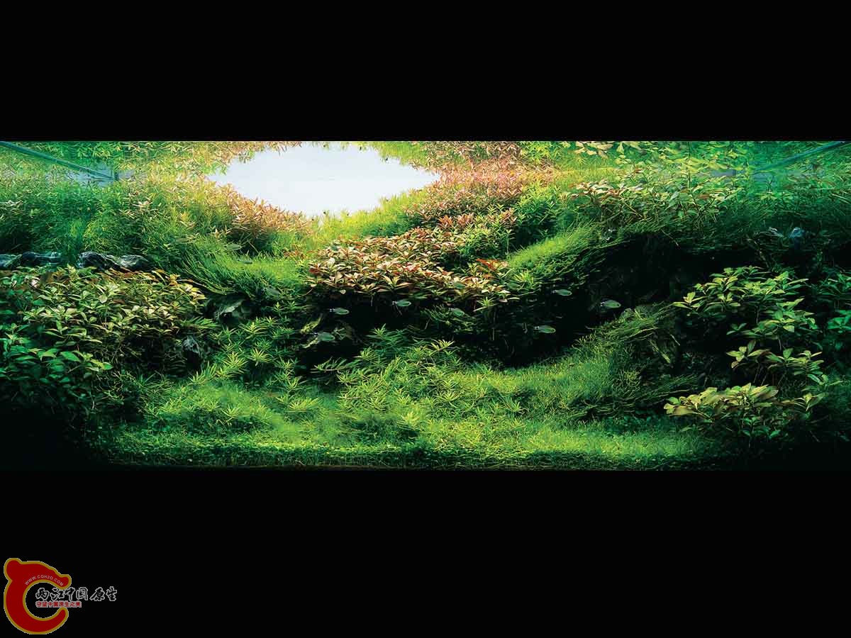 ADA2011-0001#-1  (10).jpg