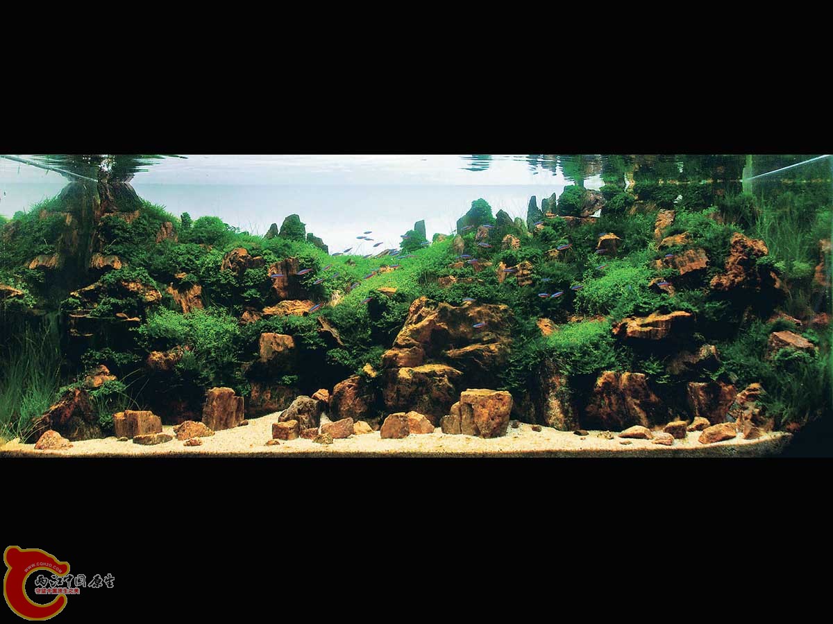 ADA2011-0001#-1  (15).jpg