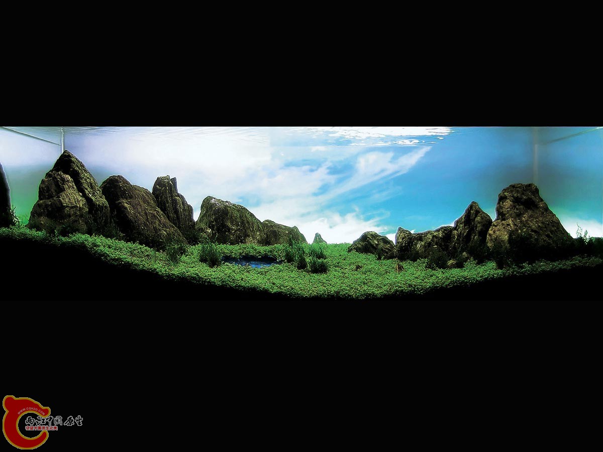 ADA2011-0001#-1  (16).jpg