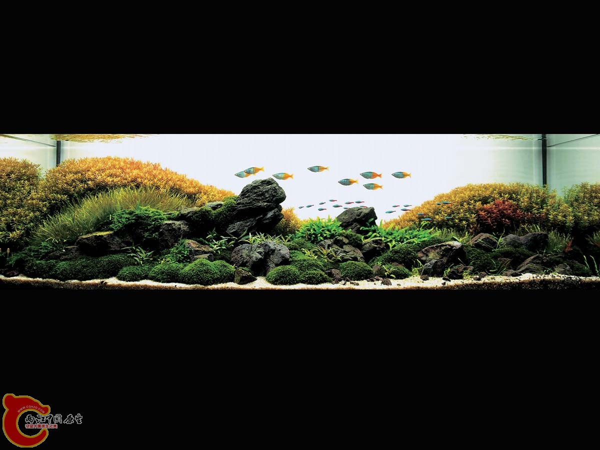 ADA2011-0001#-1  (17).jpg