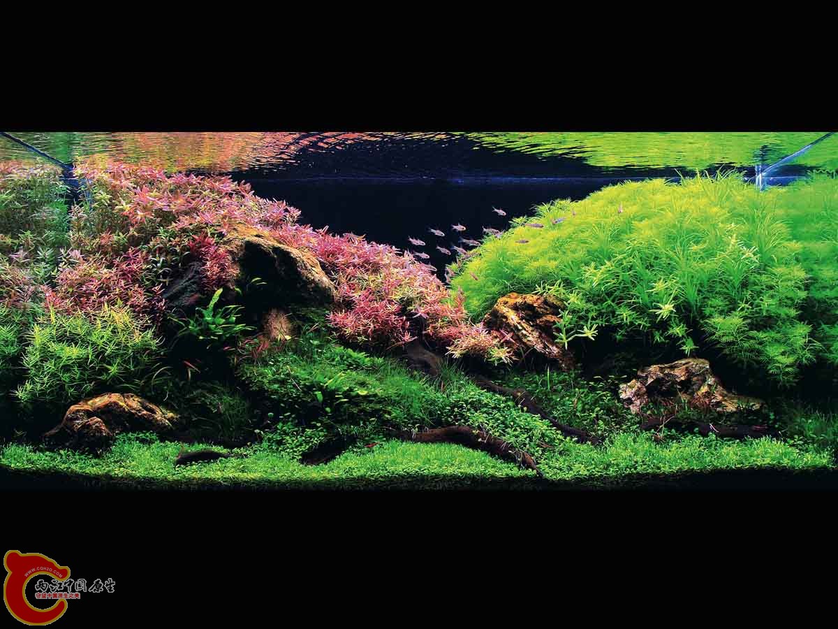 ADA2011-0001#-1  (18).jpg