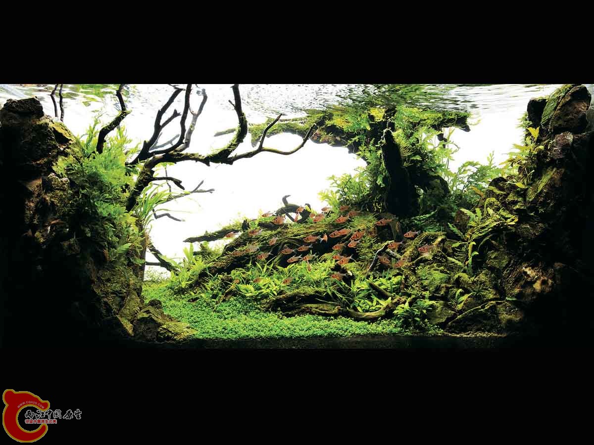 ADA2011-0001#-1  (19).jpg