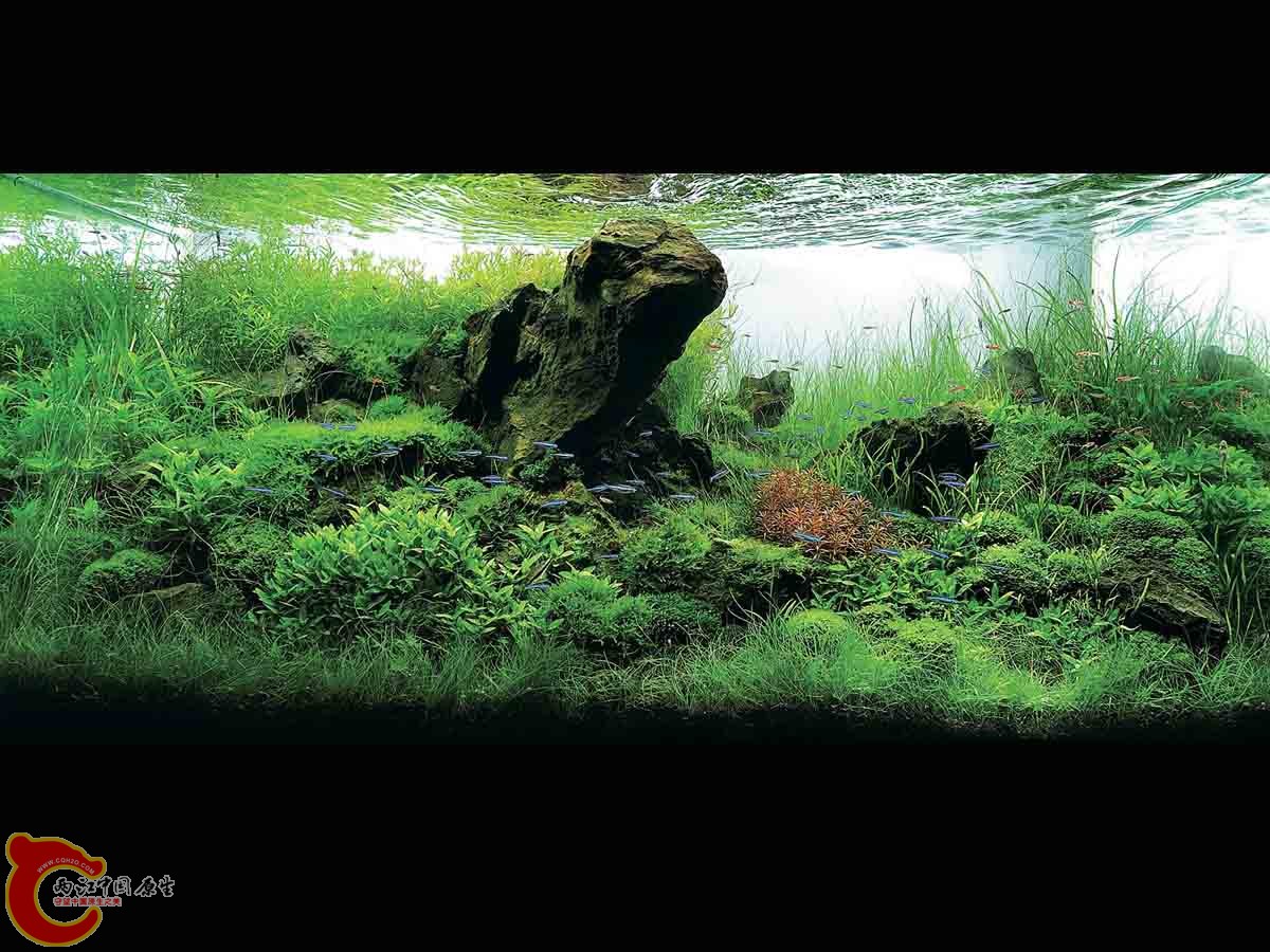 ADA2011-0001#-1  (23).jpg