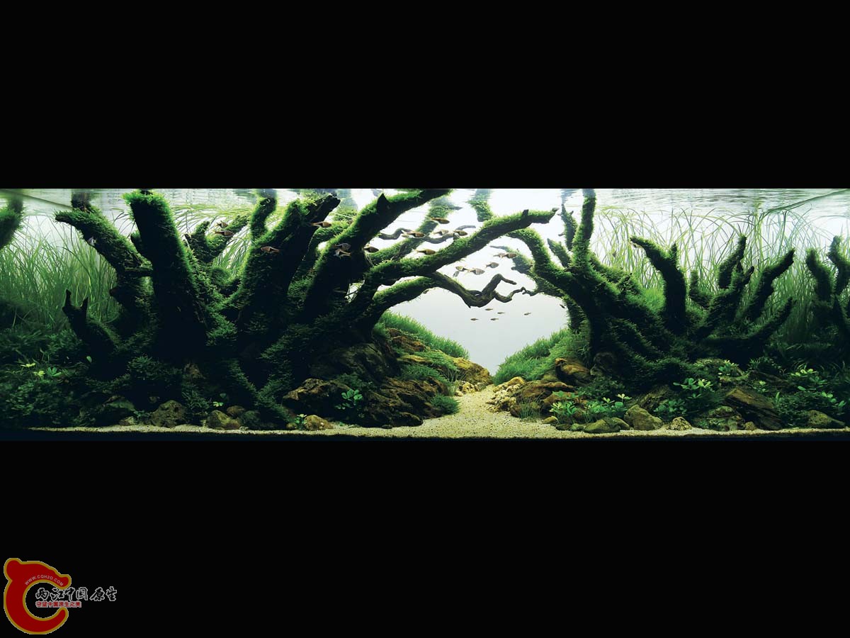 ADA2011-0001#-1  (26).jpg