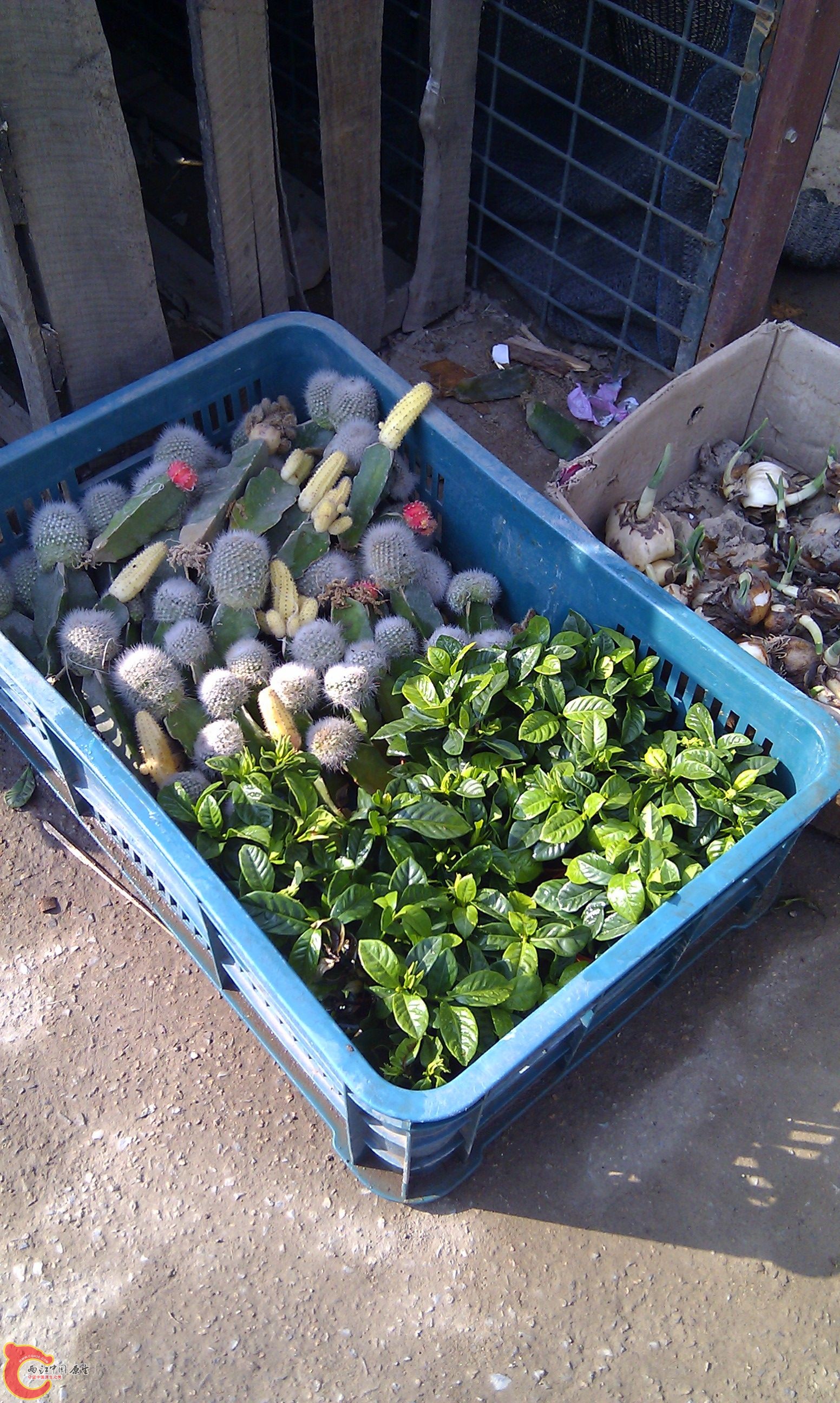20111216-1810.JPG