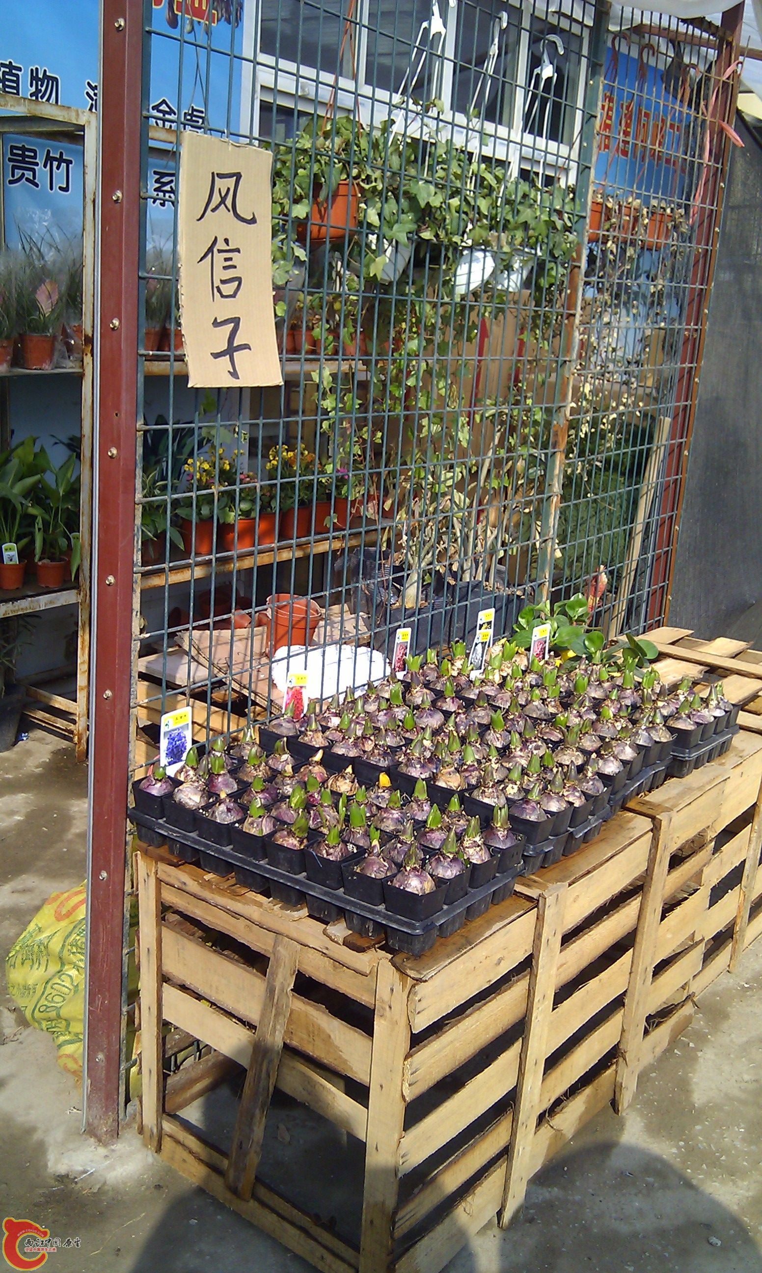 20111216-1811.JPG