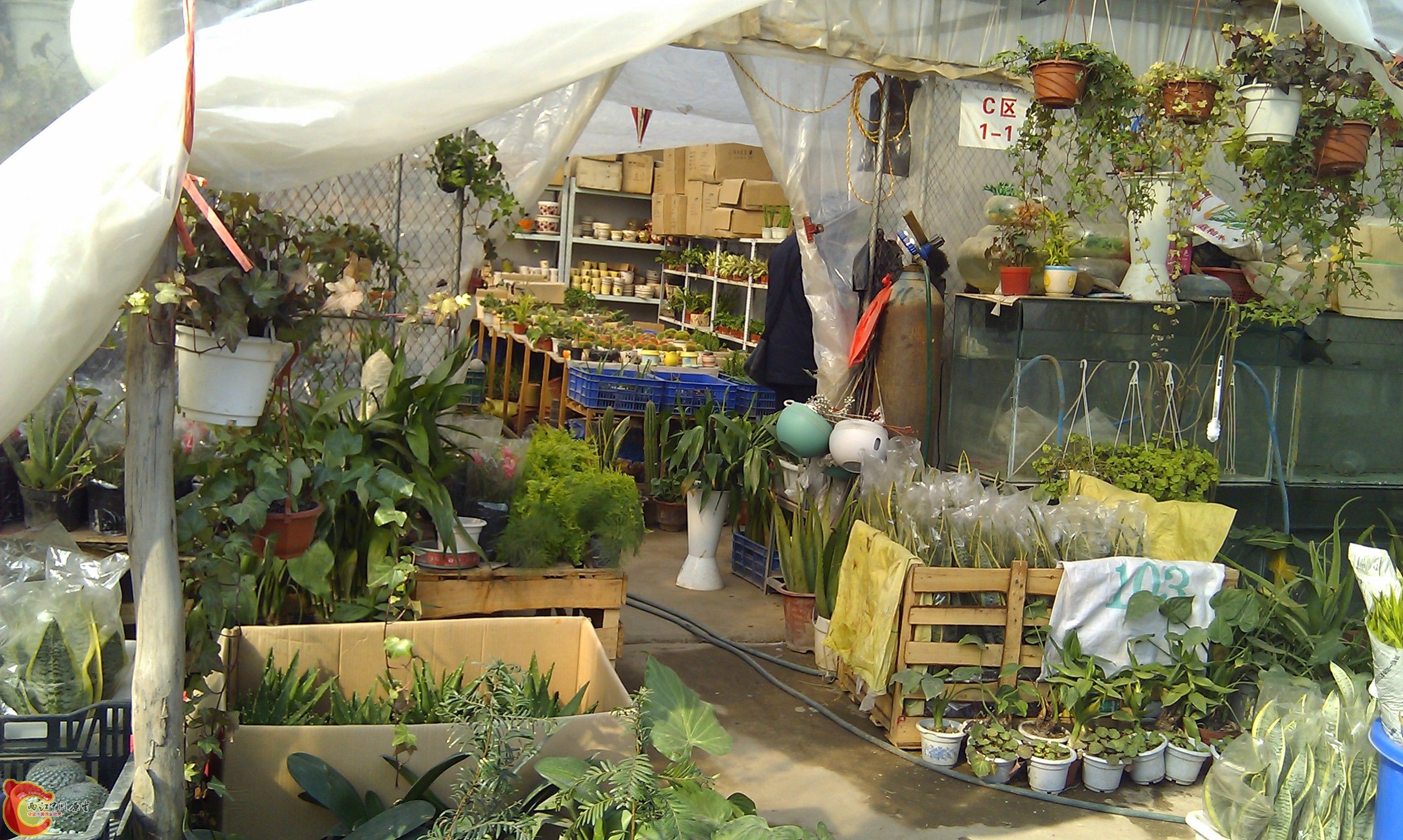 20111216-1814.JPG
