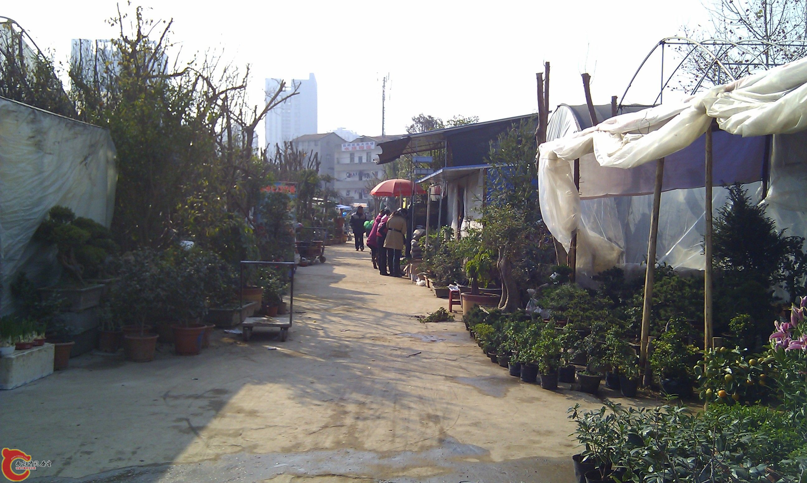 20111216-1815.JPG
