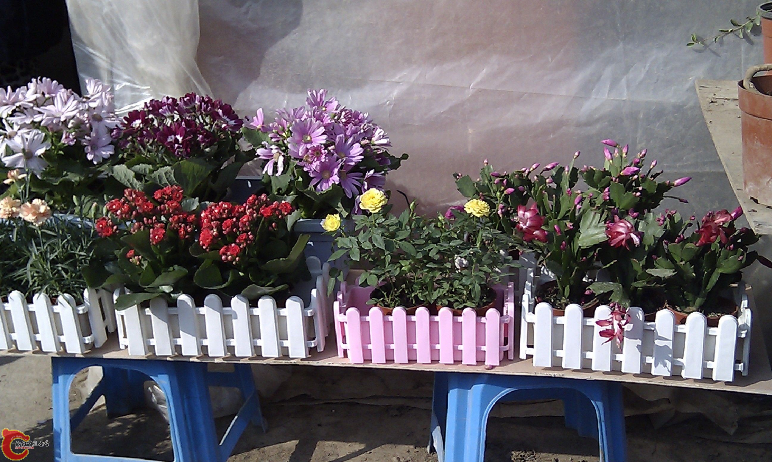 20111216-1820.JPG