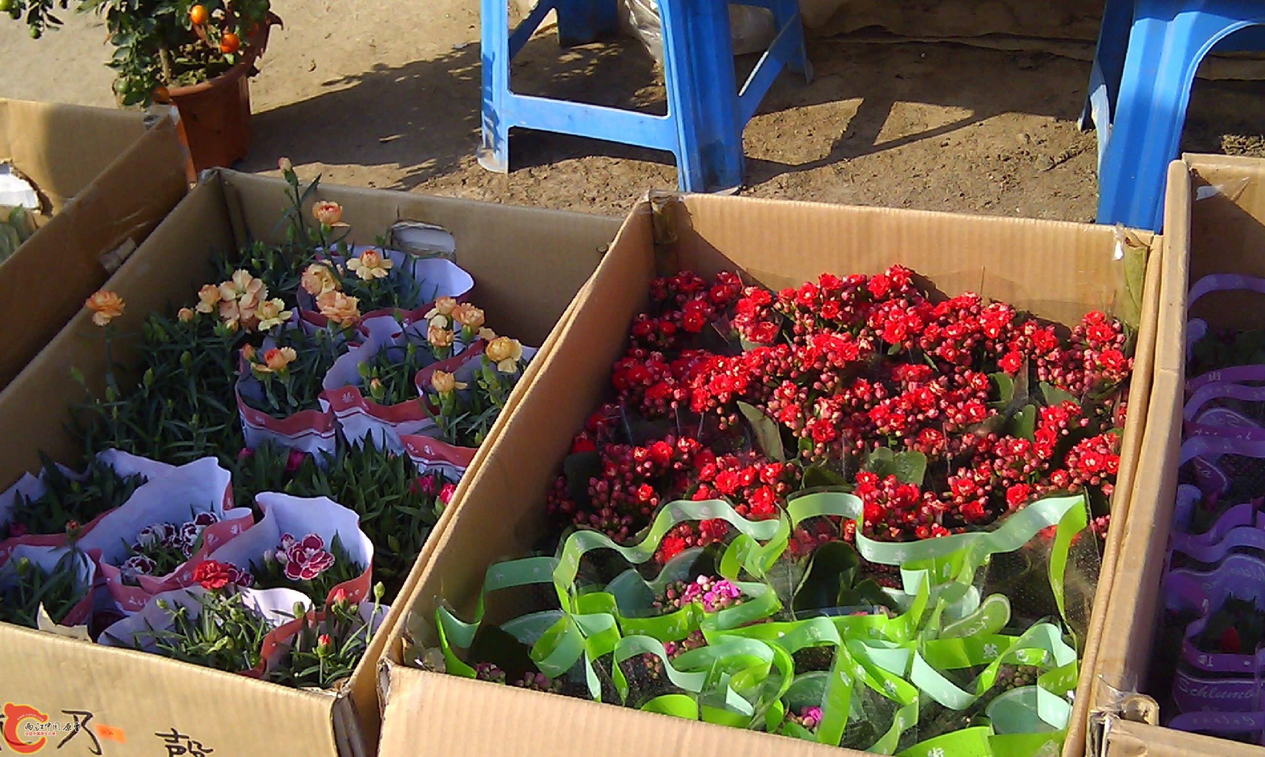 20111216-1821.JPG