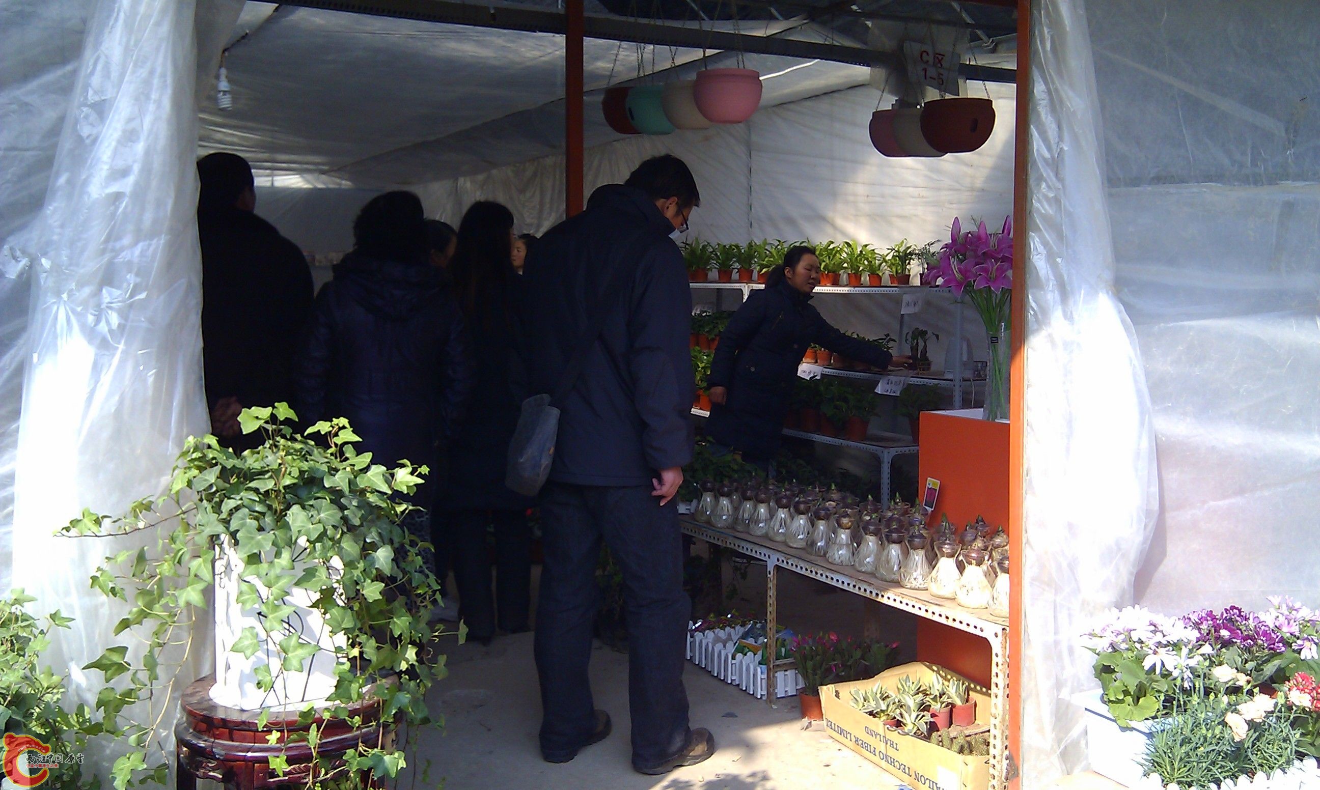 20111216-1822.JPG