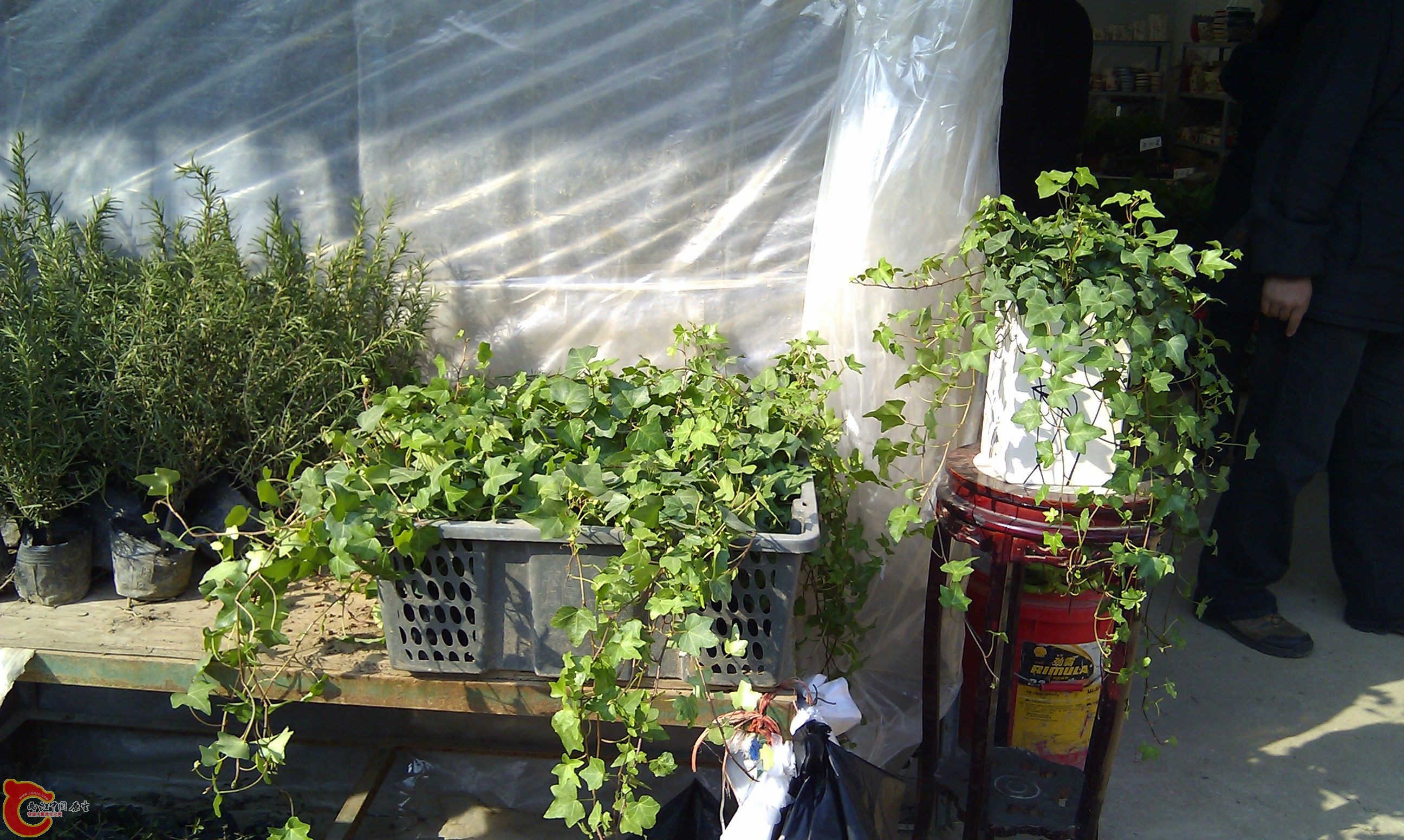 20111216-1824.JPG