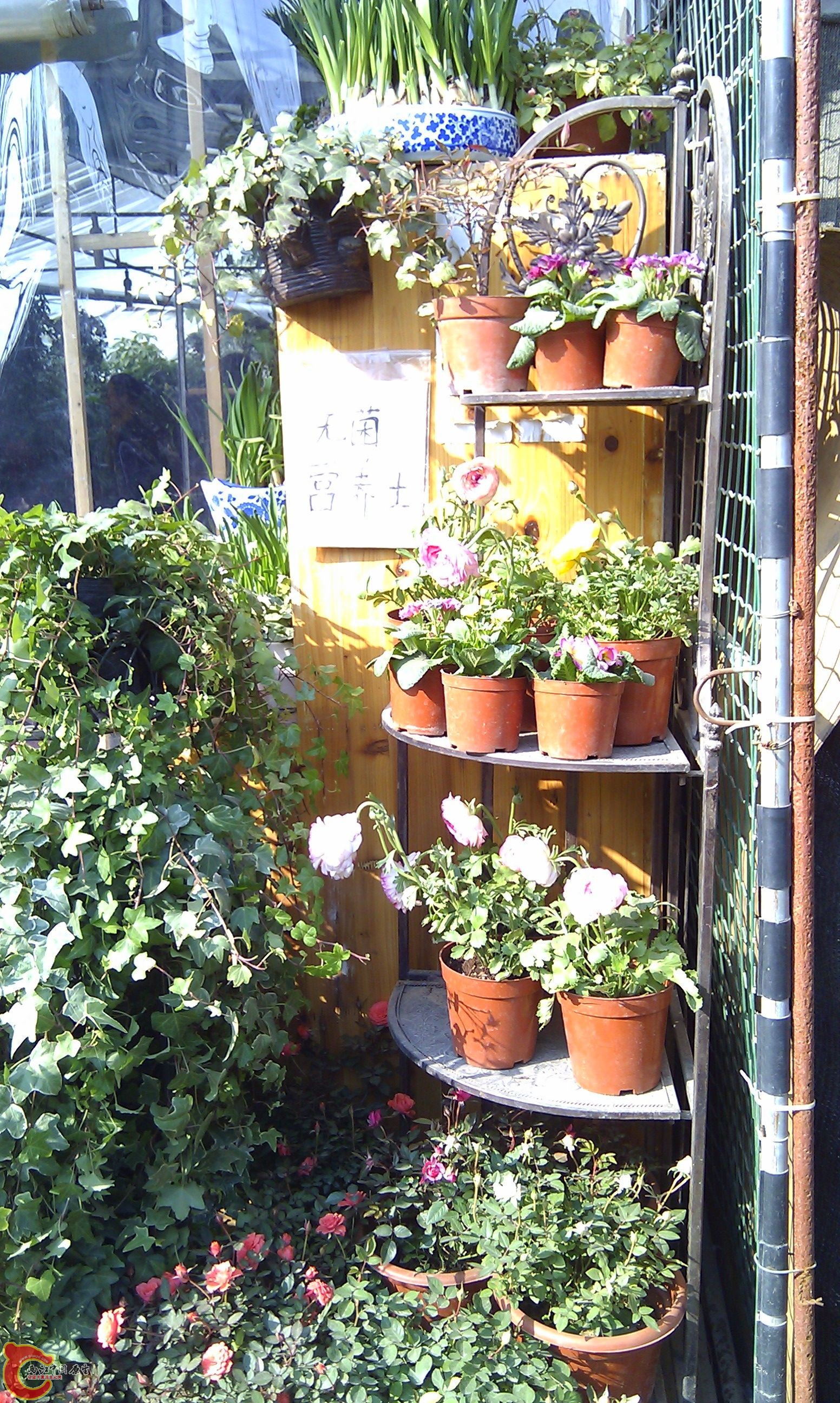 20111216-1826.JPG