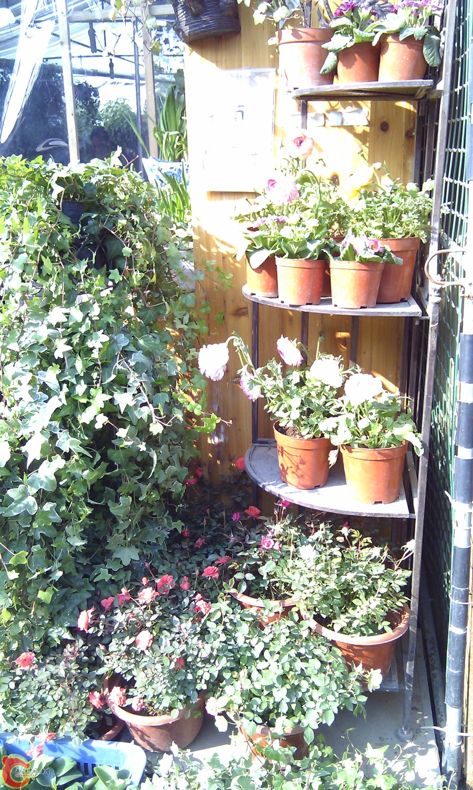 20111216-1829.JPG