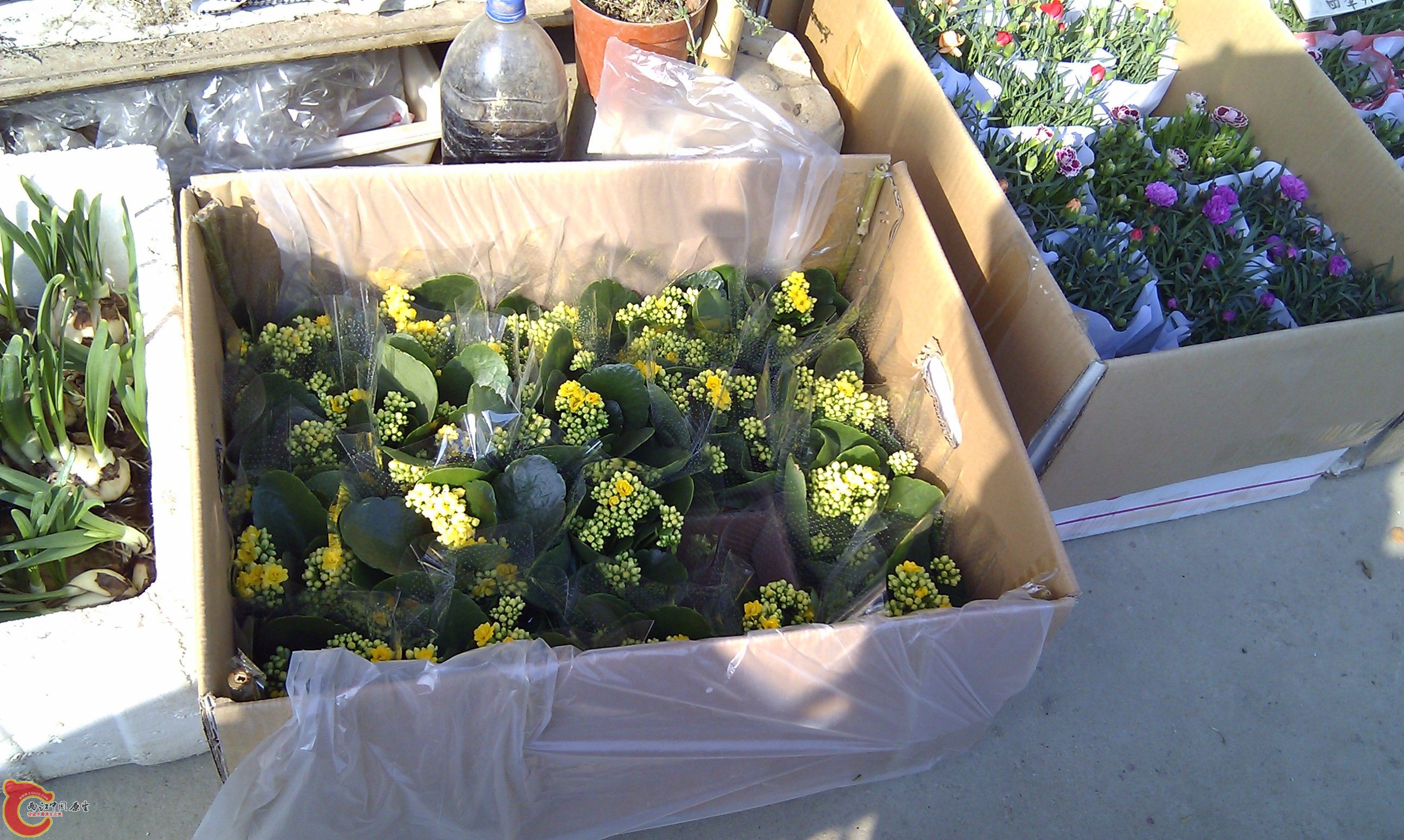 20111216-1832.JPG