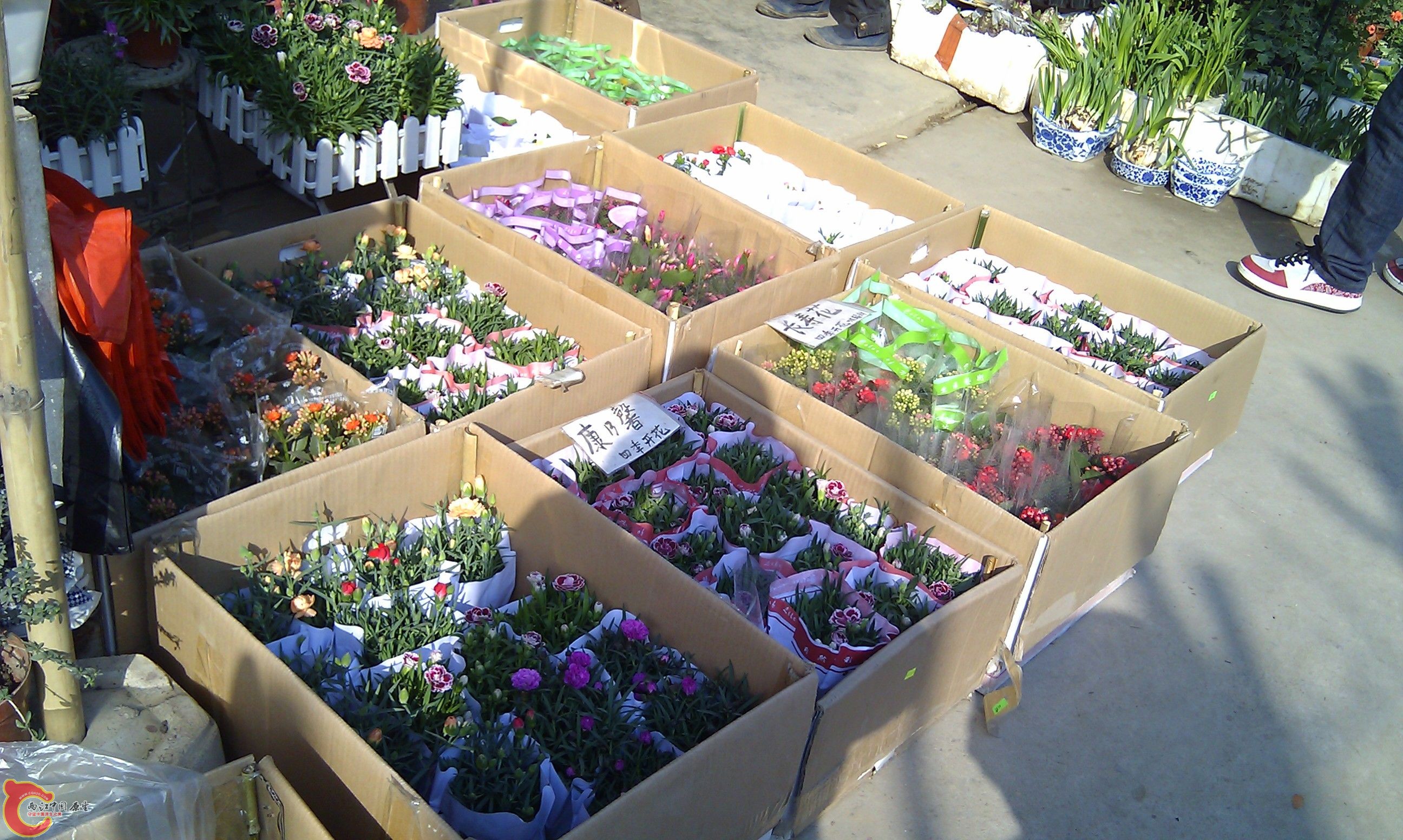 20111216-1833.JPG