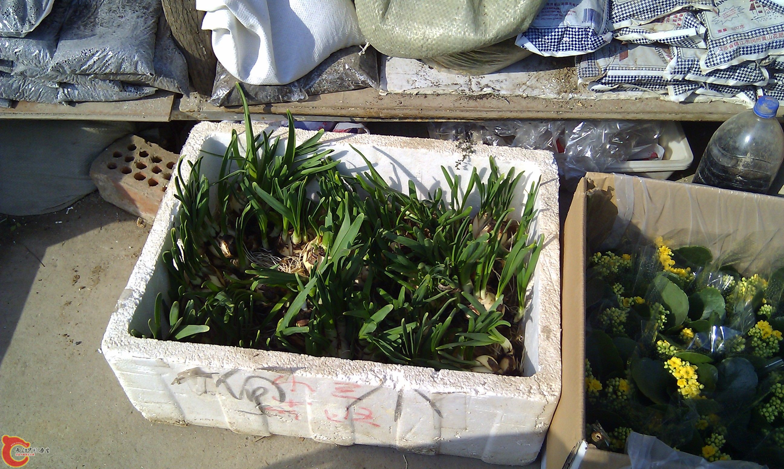 20111216-1834.JPG