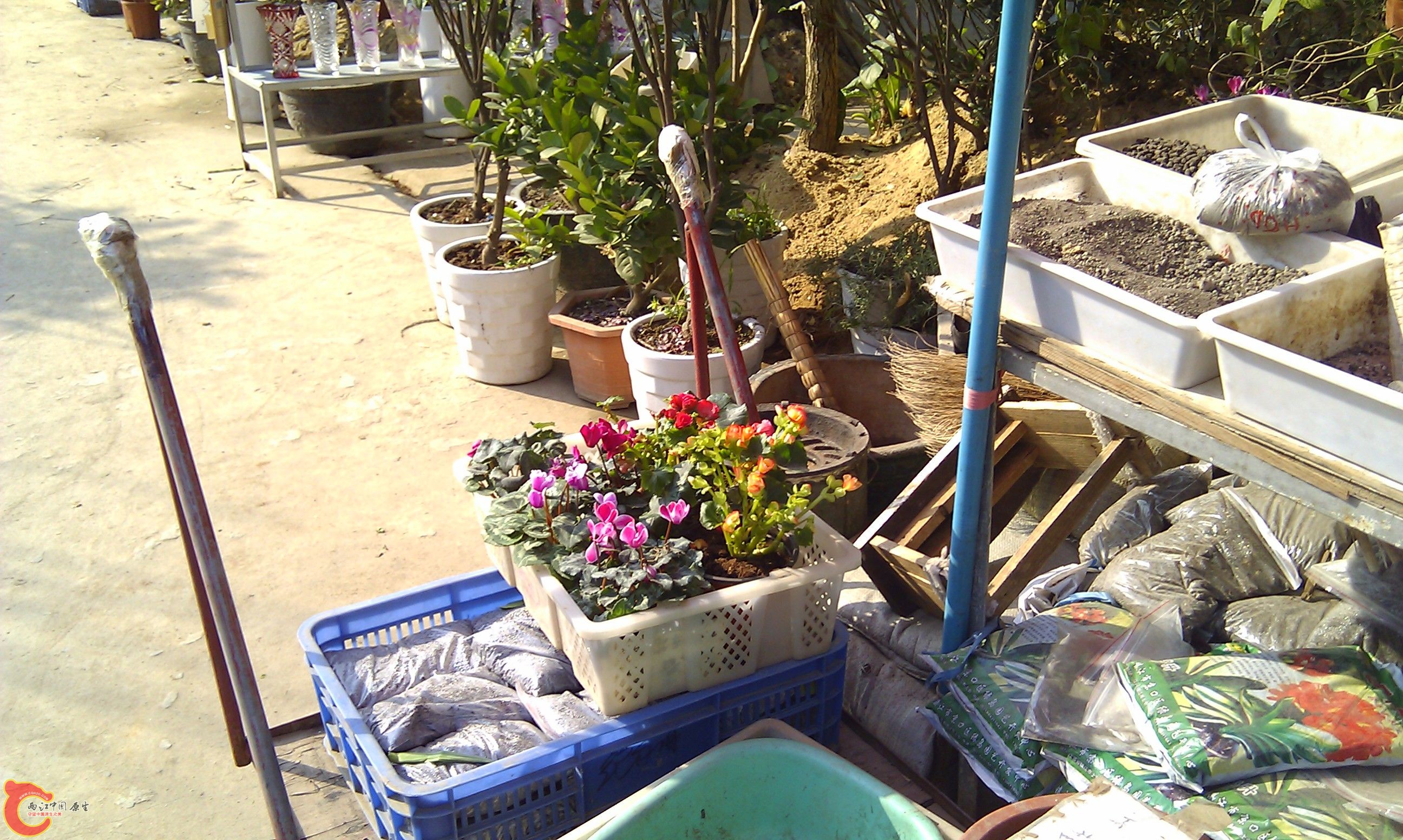 20111216-1835.JPG