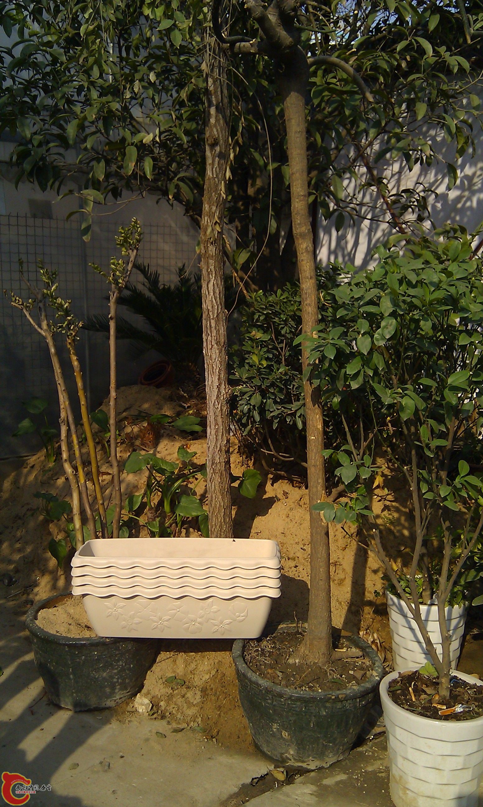 20111216-1837.JPG