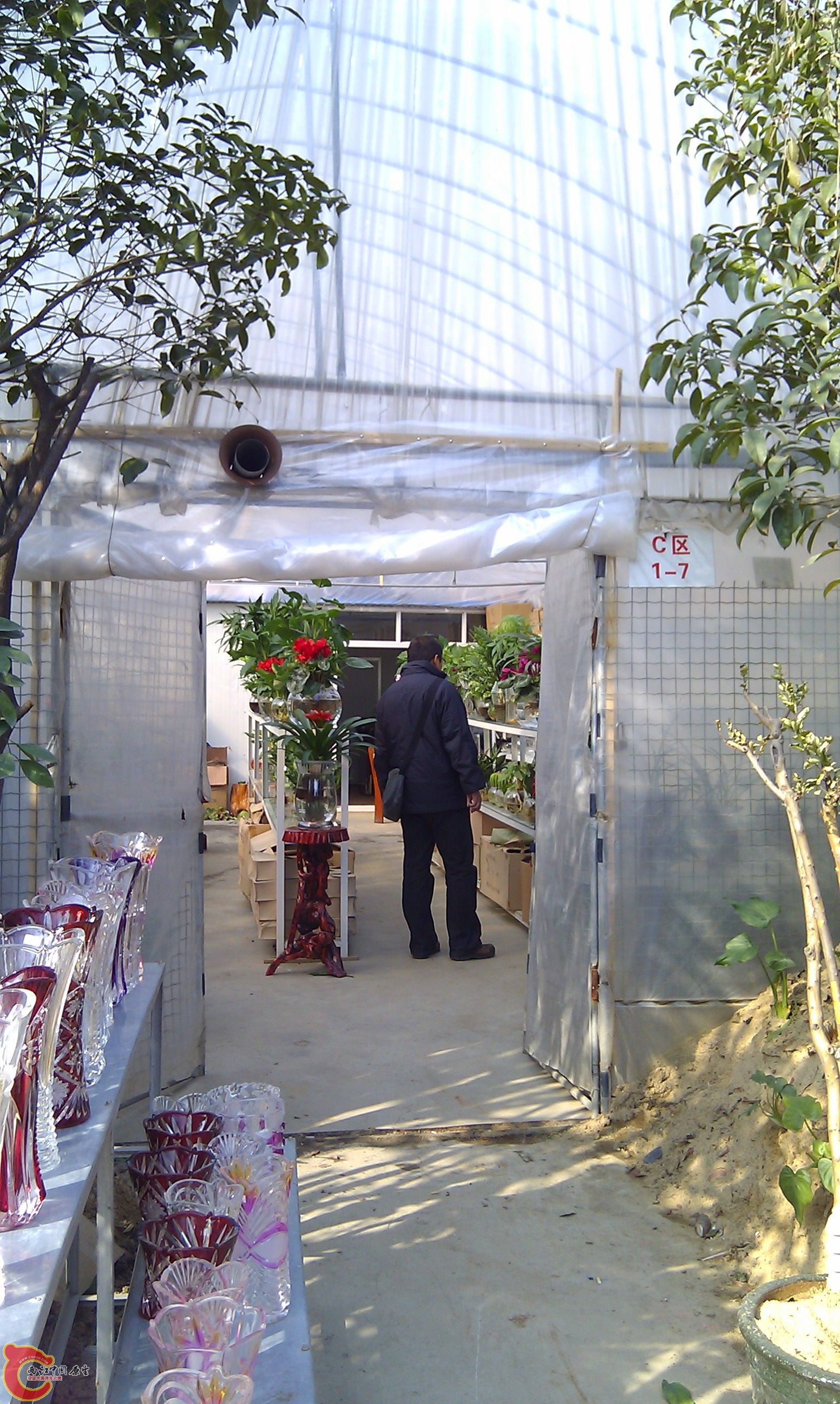 20111216-1838.JPG