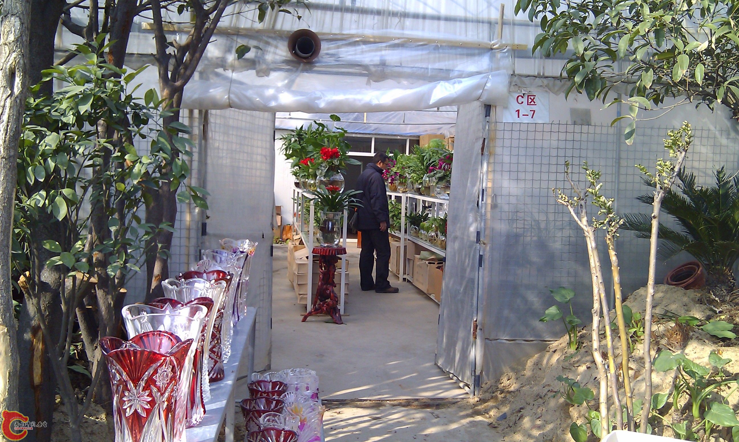 20111216-1839.JPG