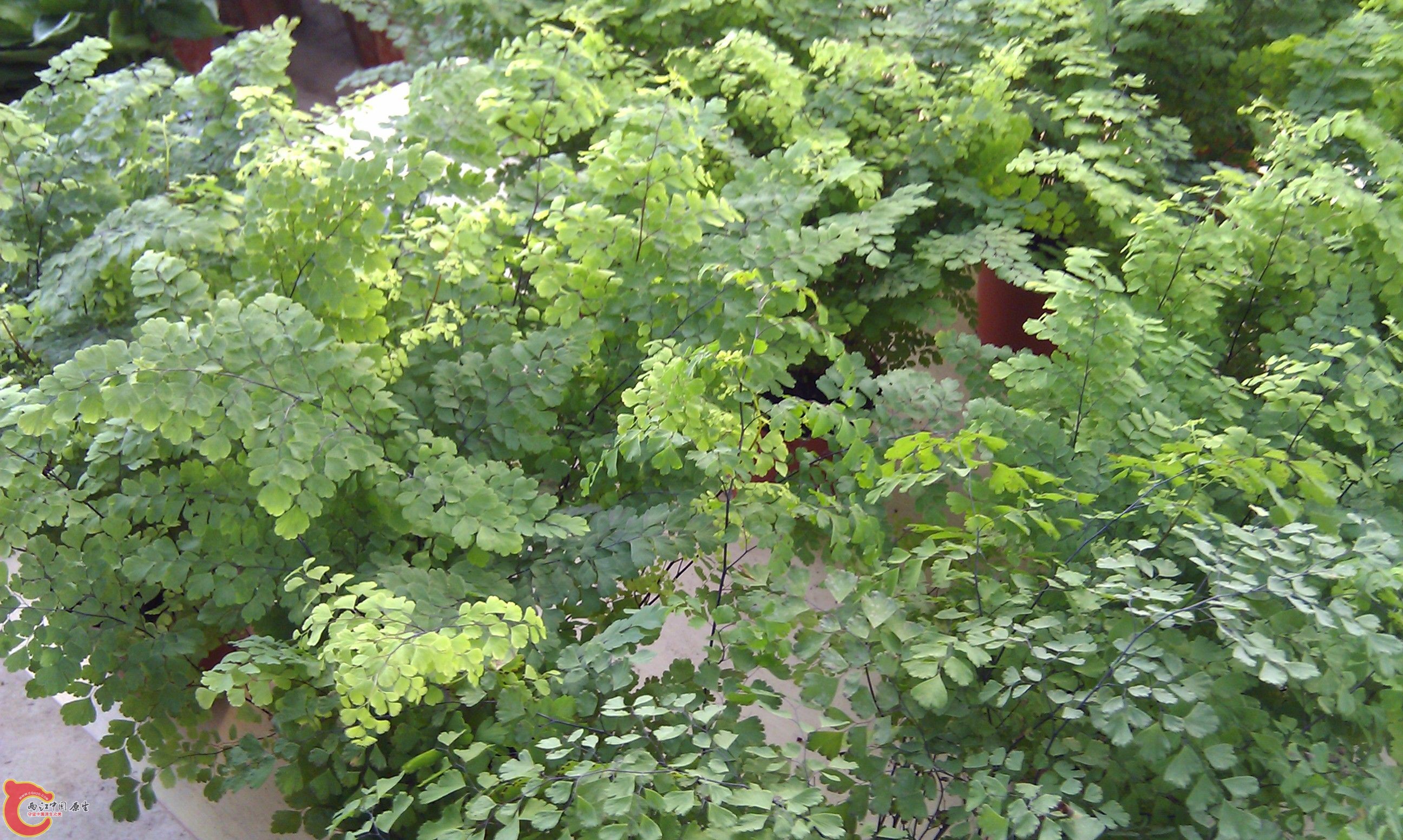 20111216-1872.JPG