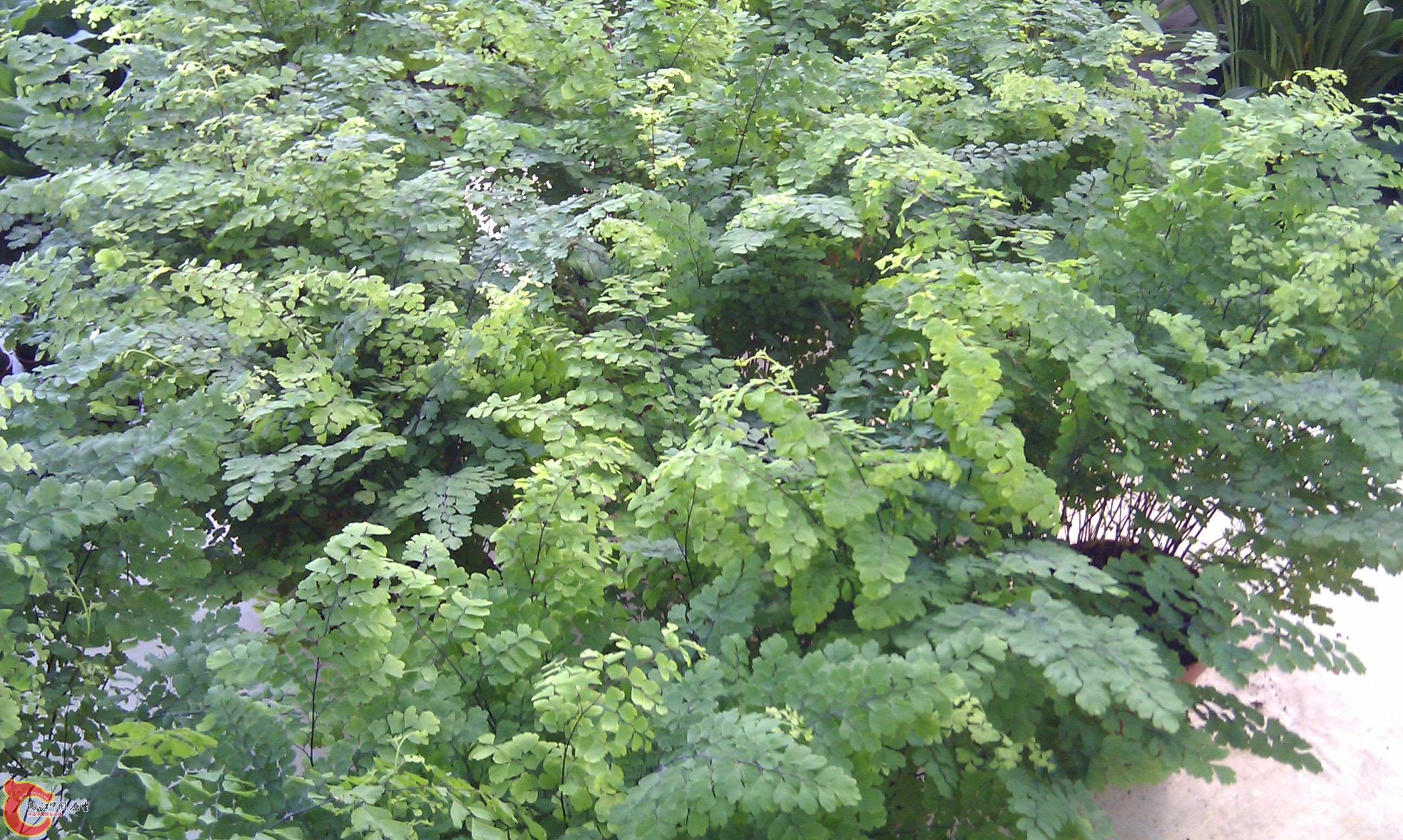 20111216-1873.JPG