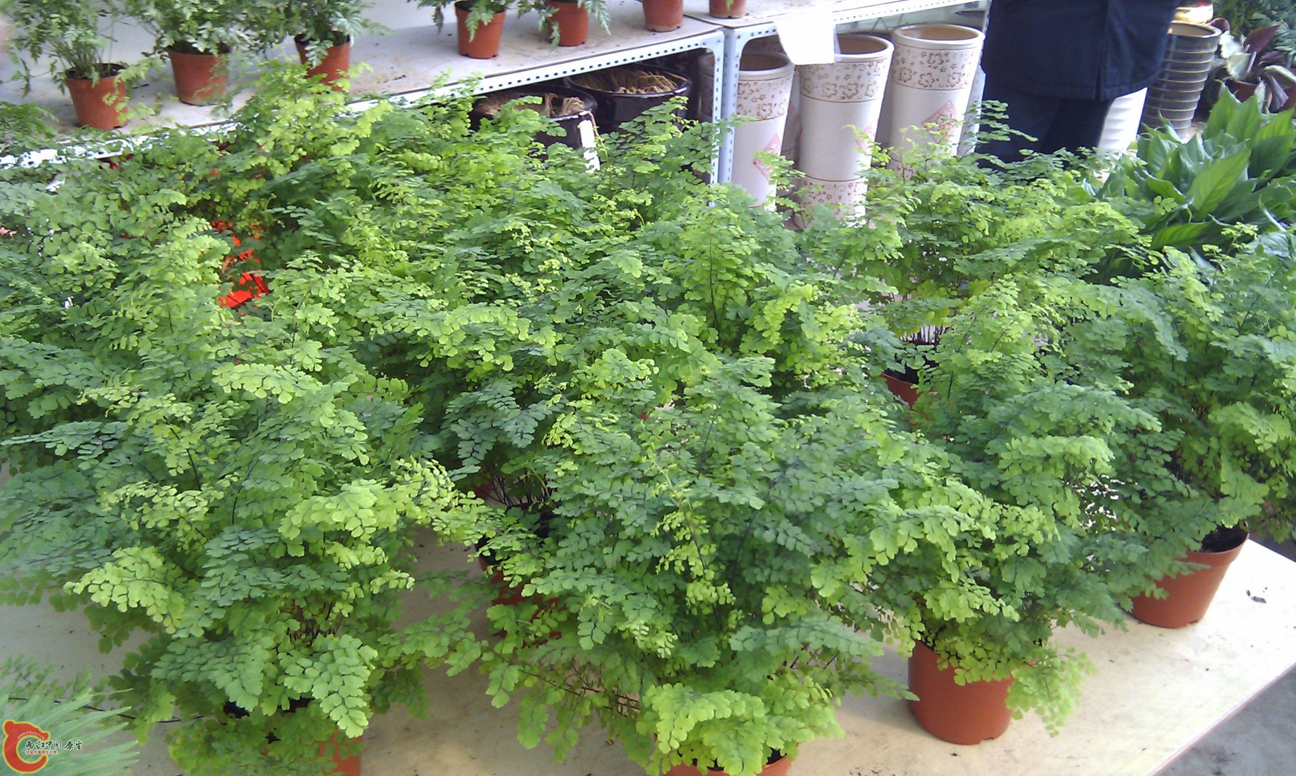 20111216-1875.JPG