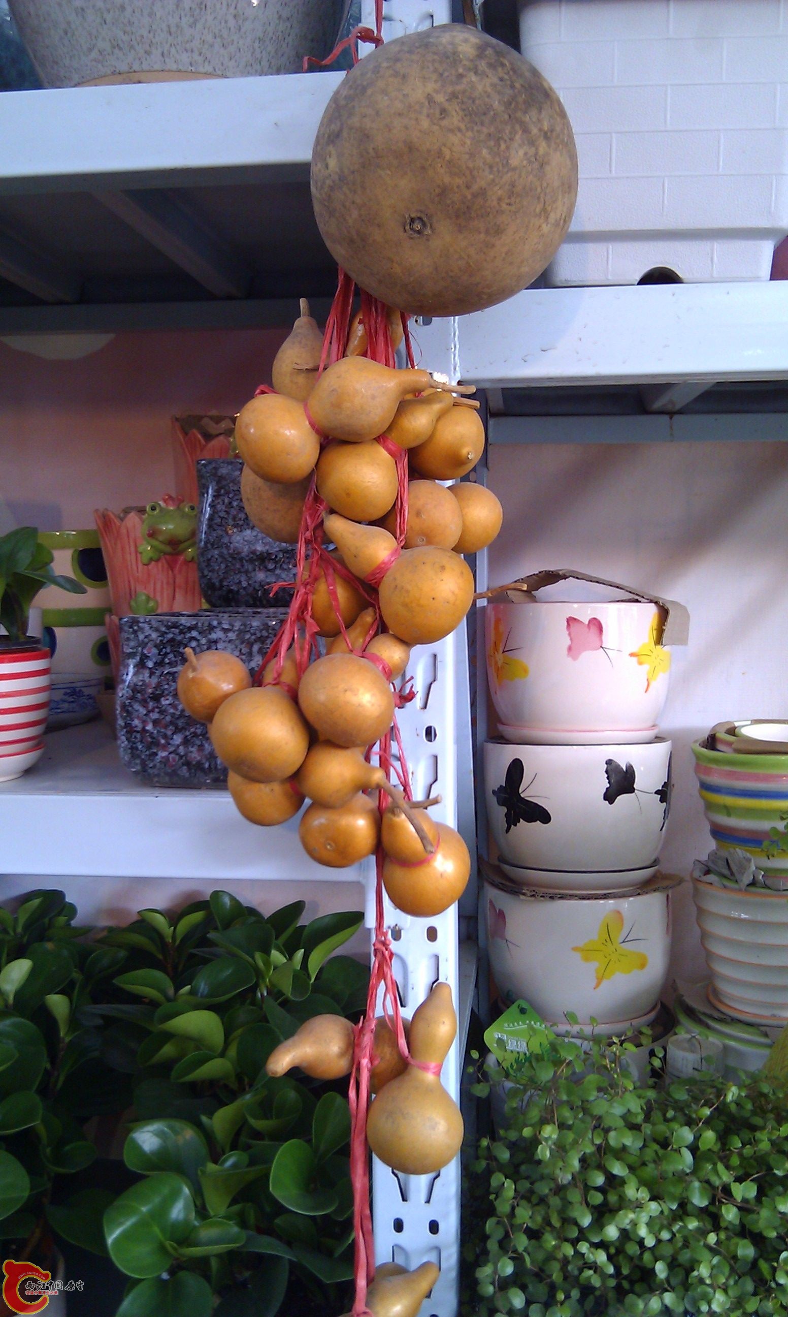 20111216-1877.JPG