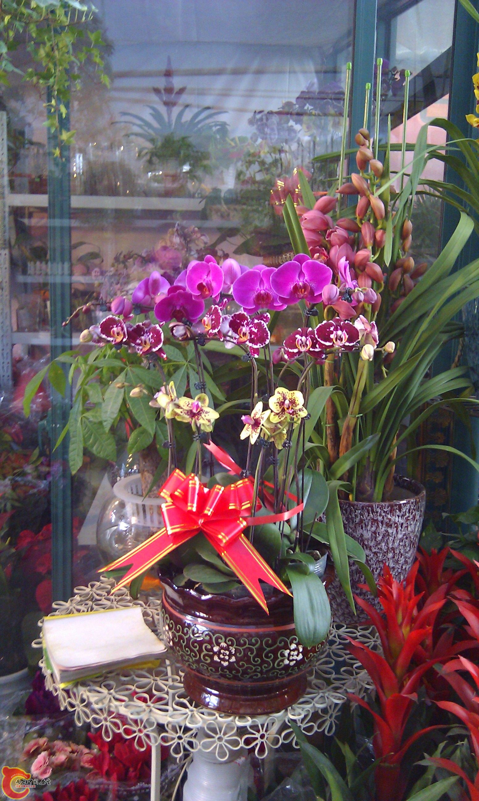 20111216-1878.JPG