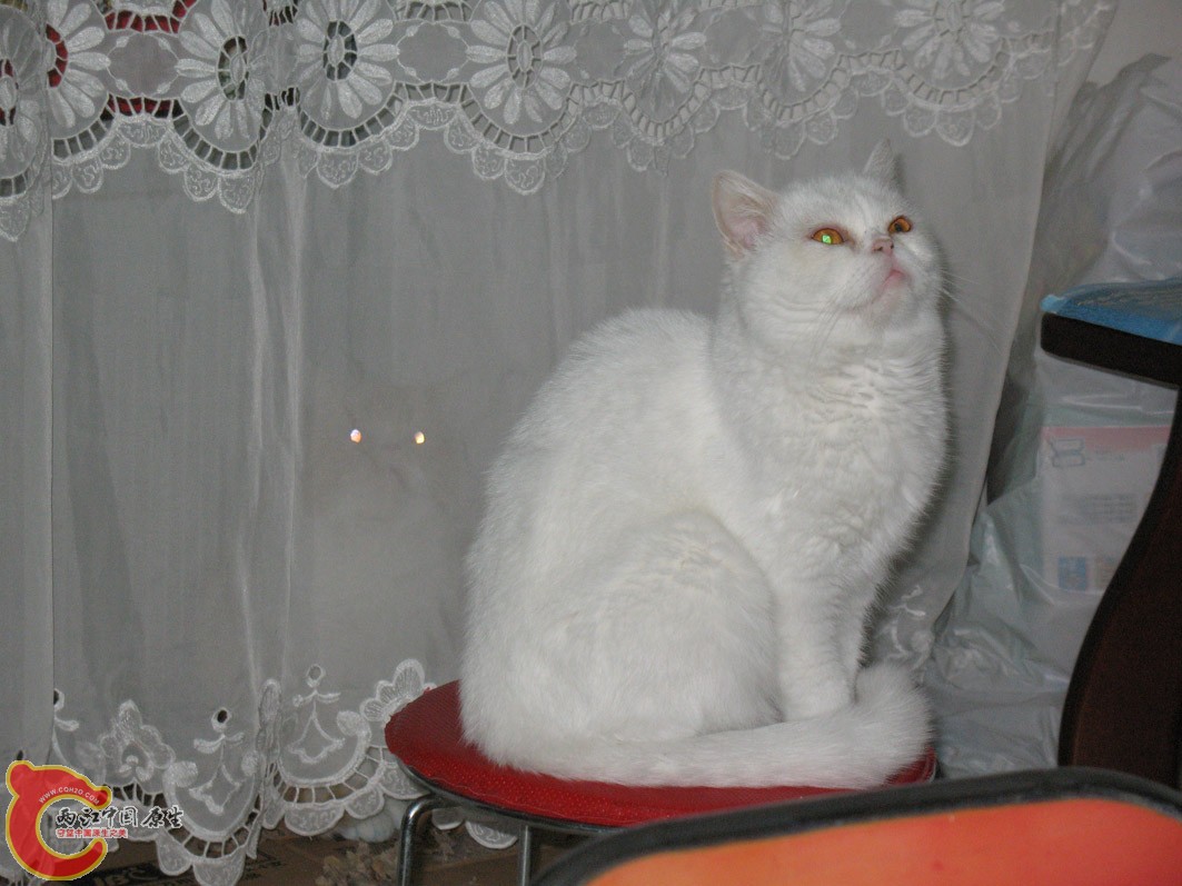 IMG_7756.JPG