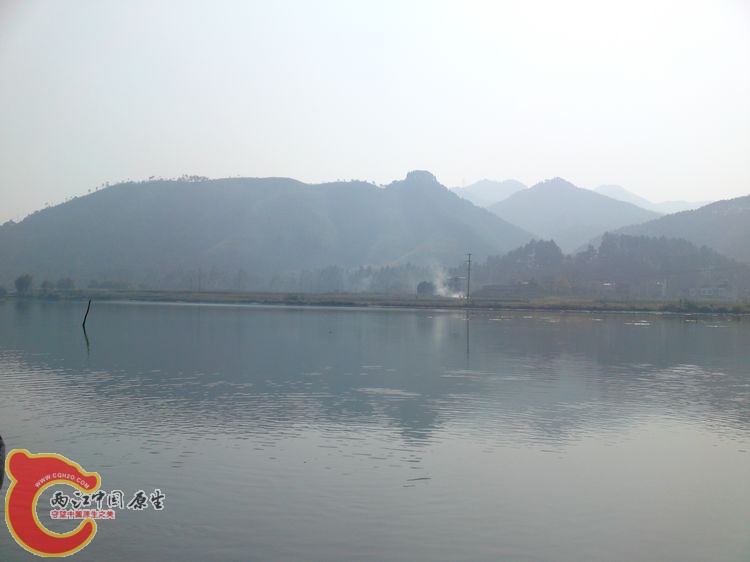 DSC08377.jpg