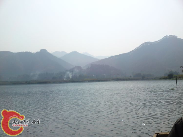 DSC08389.jpg