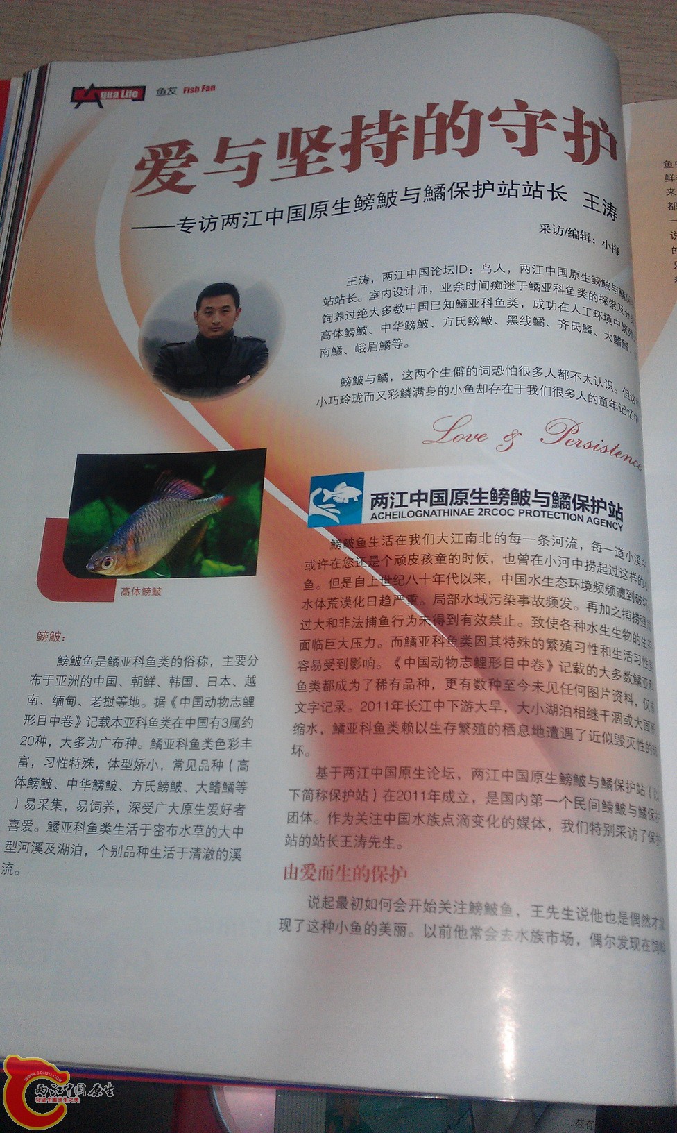IMAG0251_缩小大小.jpg