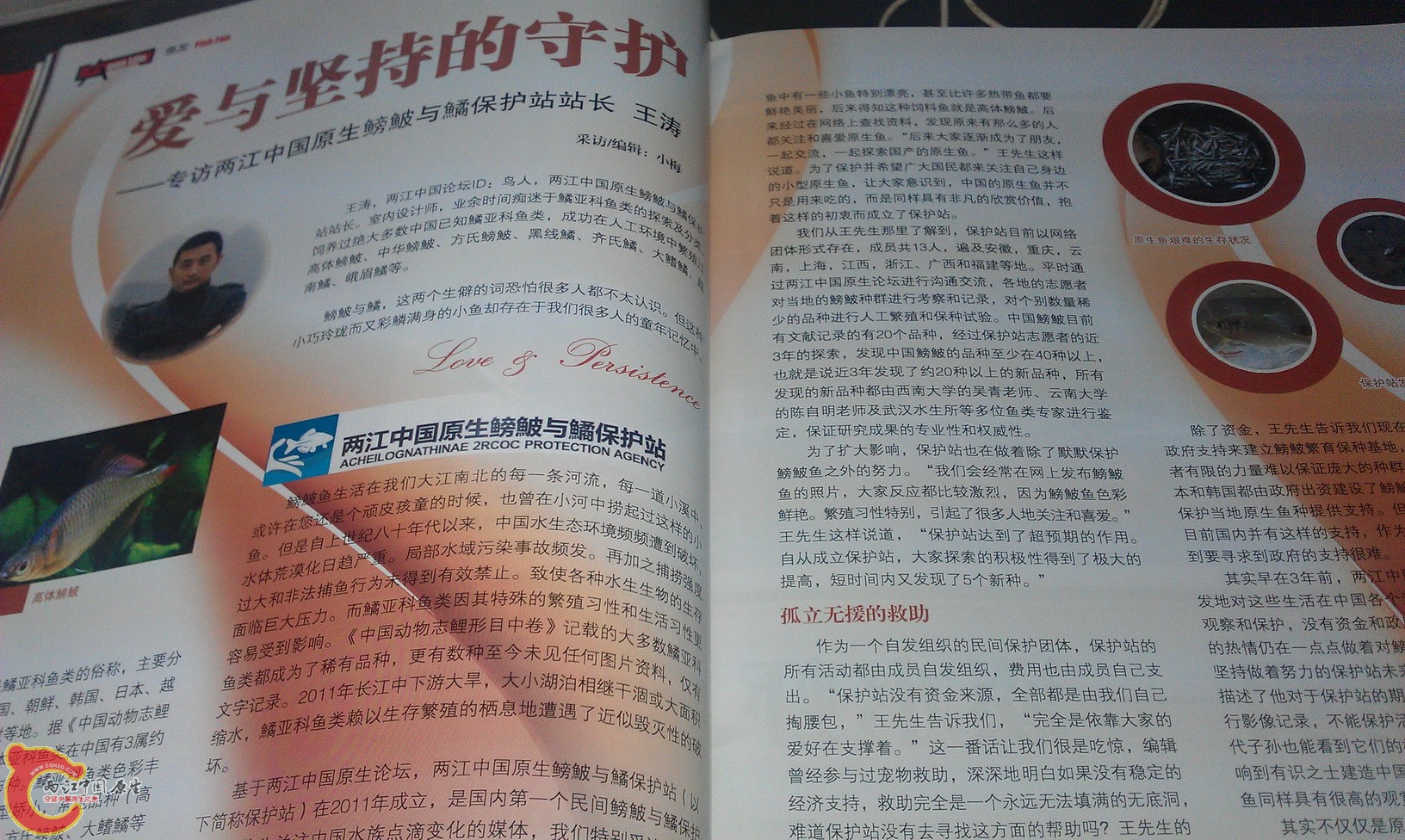 IMAG0249_缩小大小.jpg