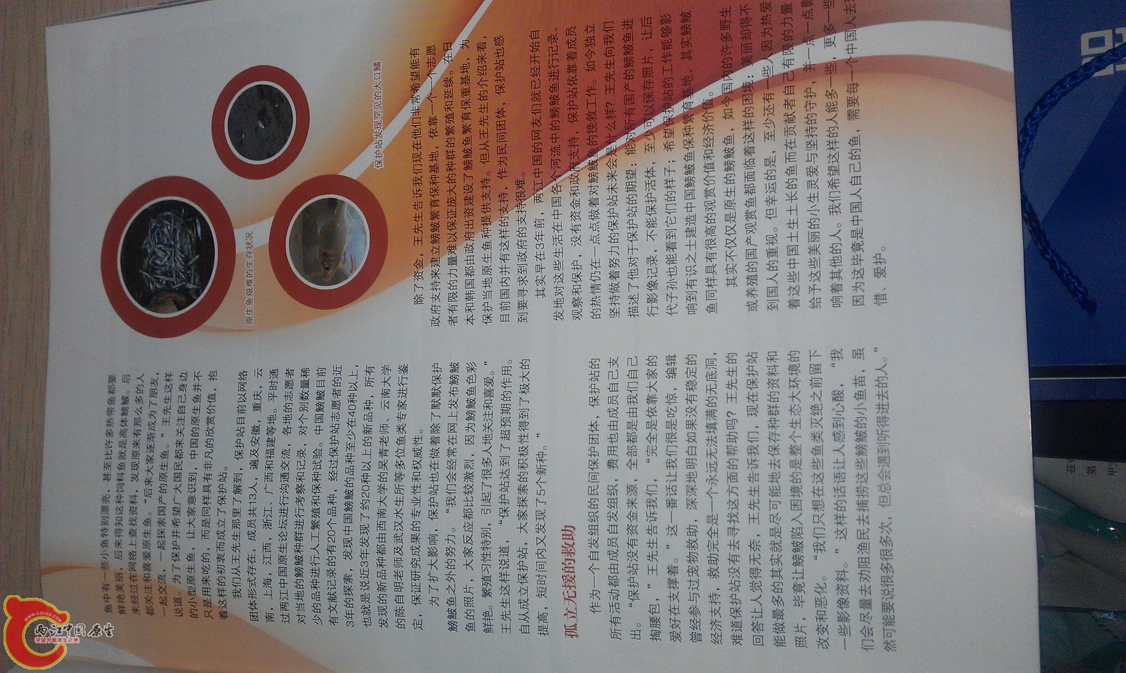 IMAG0252_缩小大小.jpg