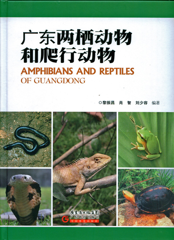 Image1.jpg