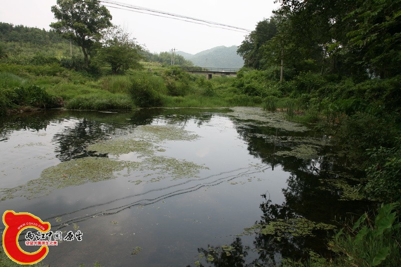 方氏鰟鮍生活水域