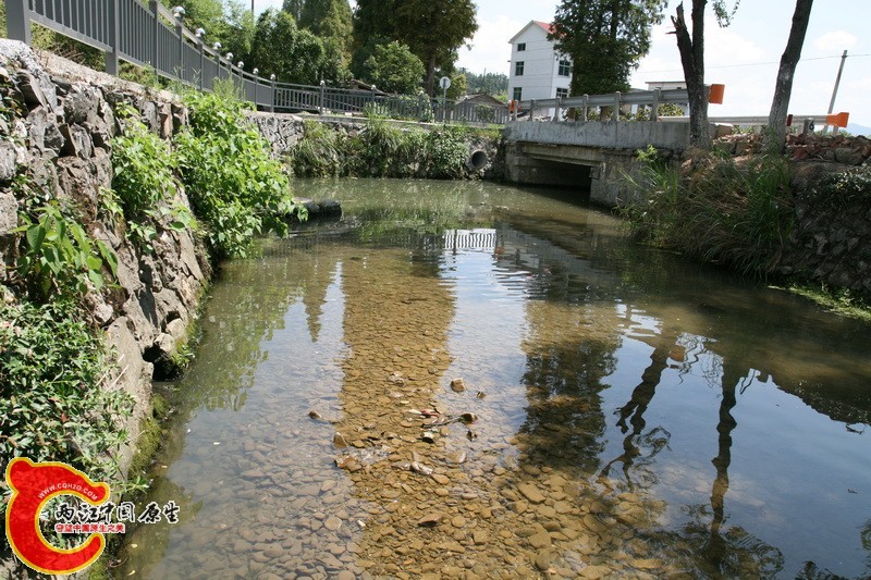 中华鰟鮍生活水域