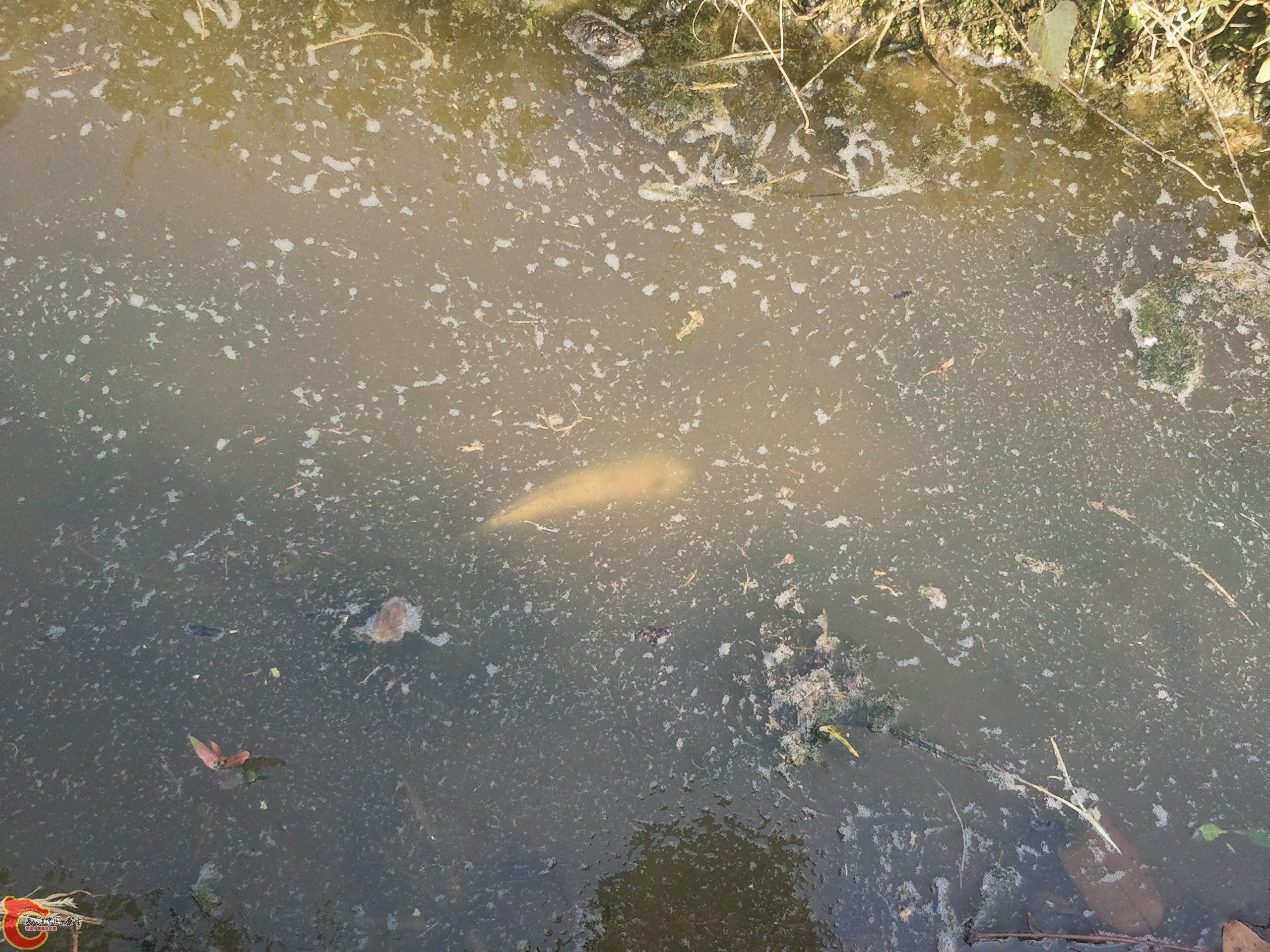 2011-12-22 15.10.14.jpg