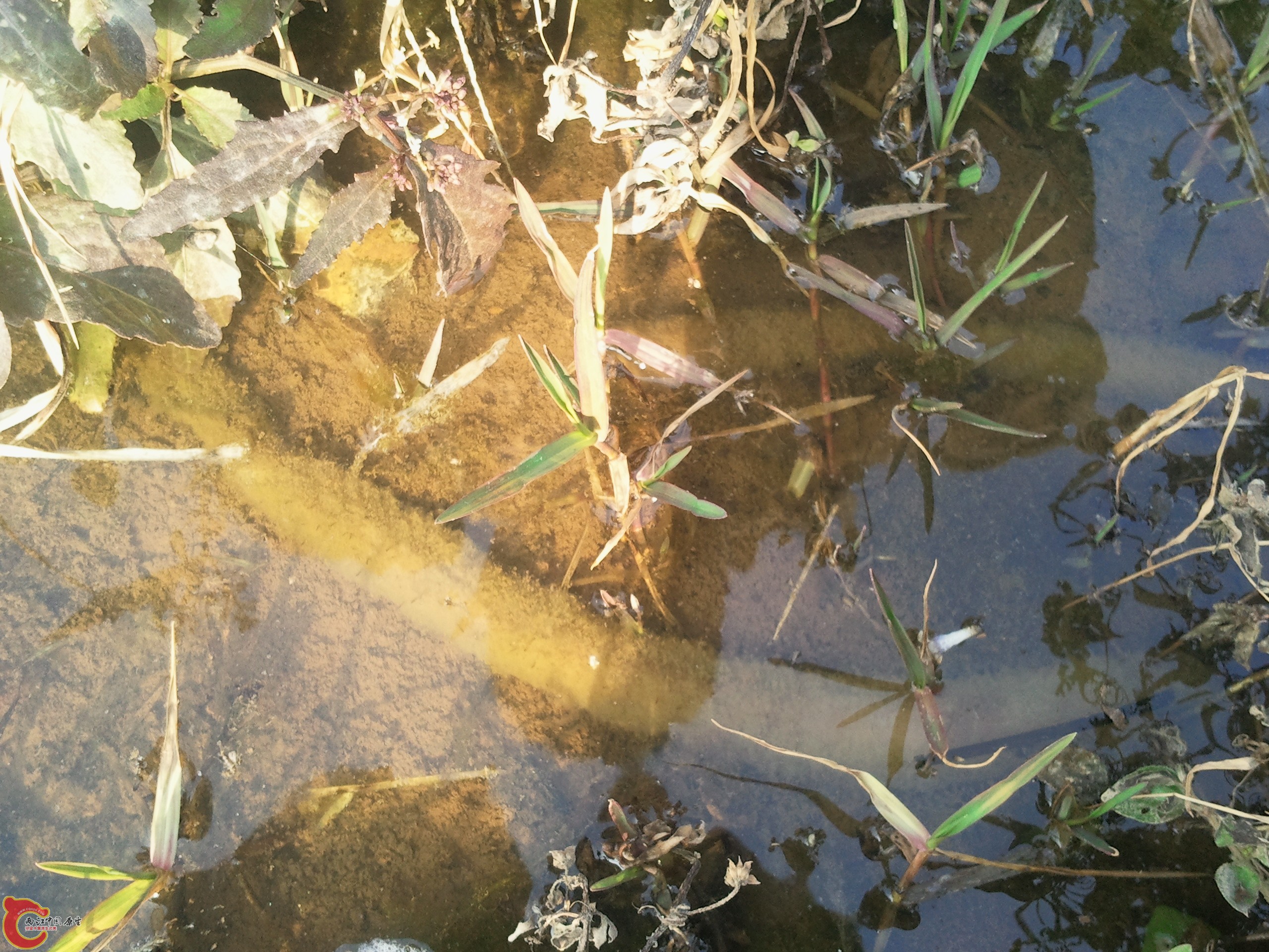 2011-12-22 15.09.30.jpg