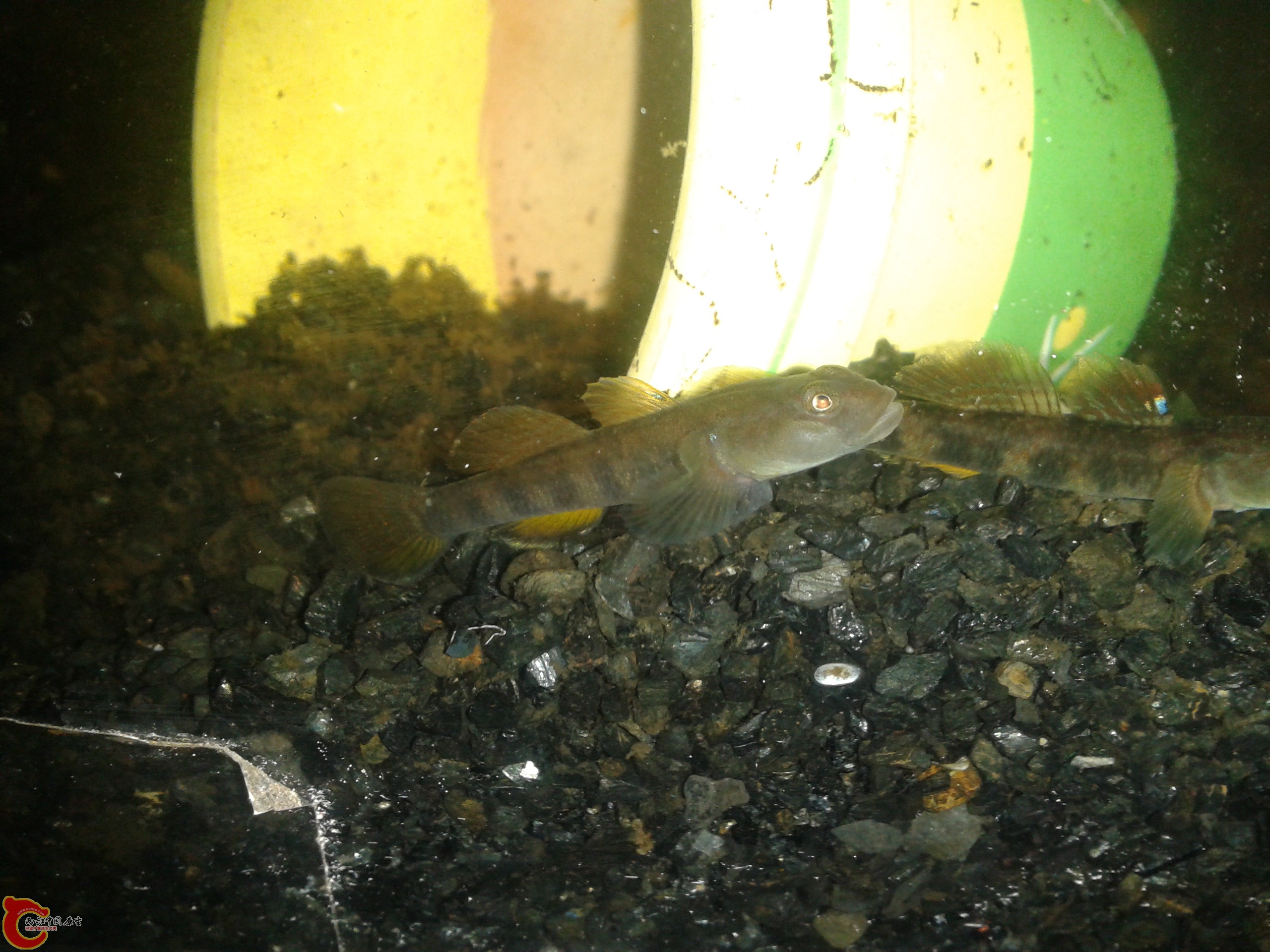 2011-12-22 23.18.42.jpg