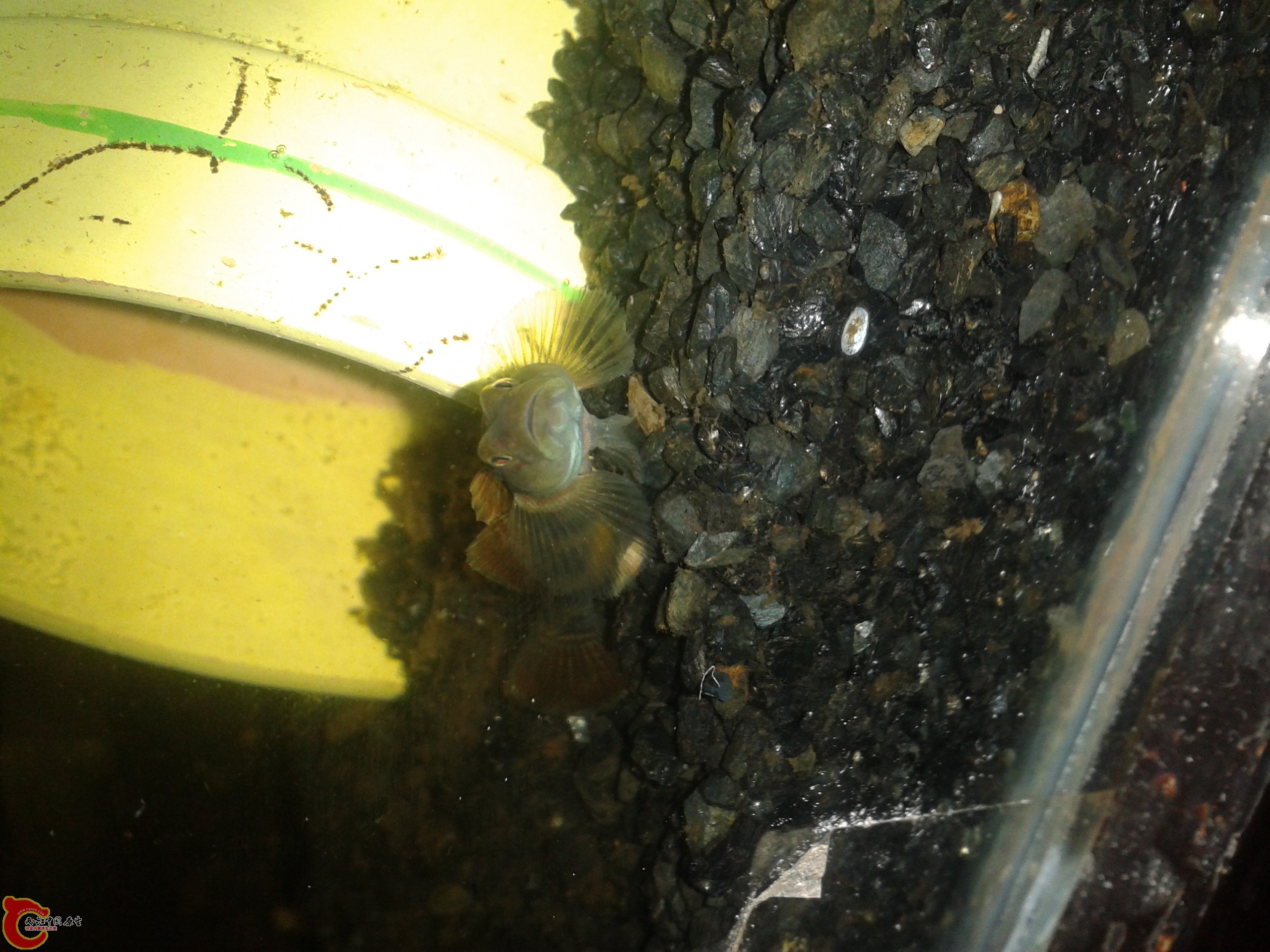 2011-12-22 23.19.25.jpg