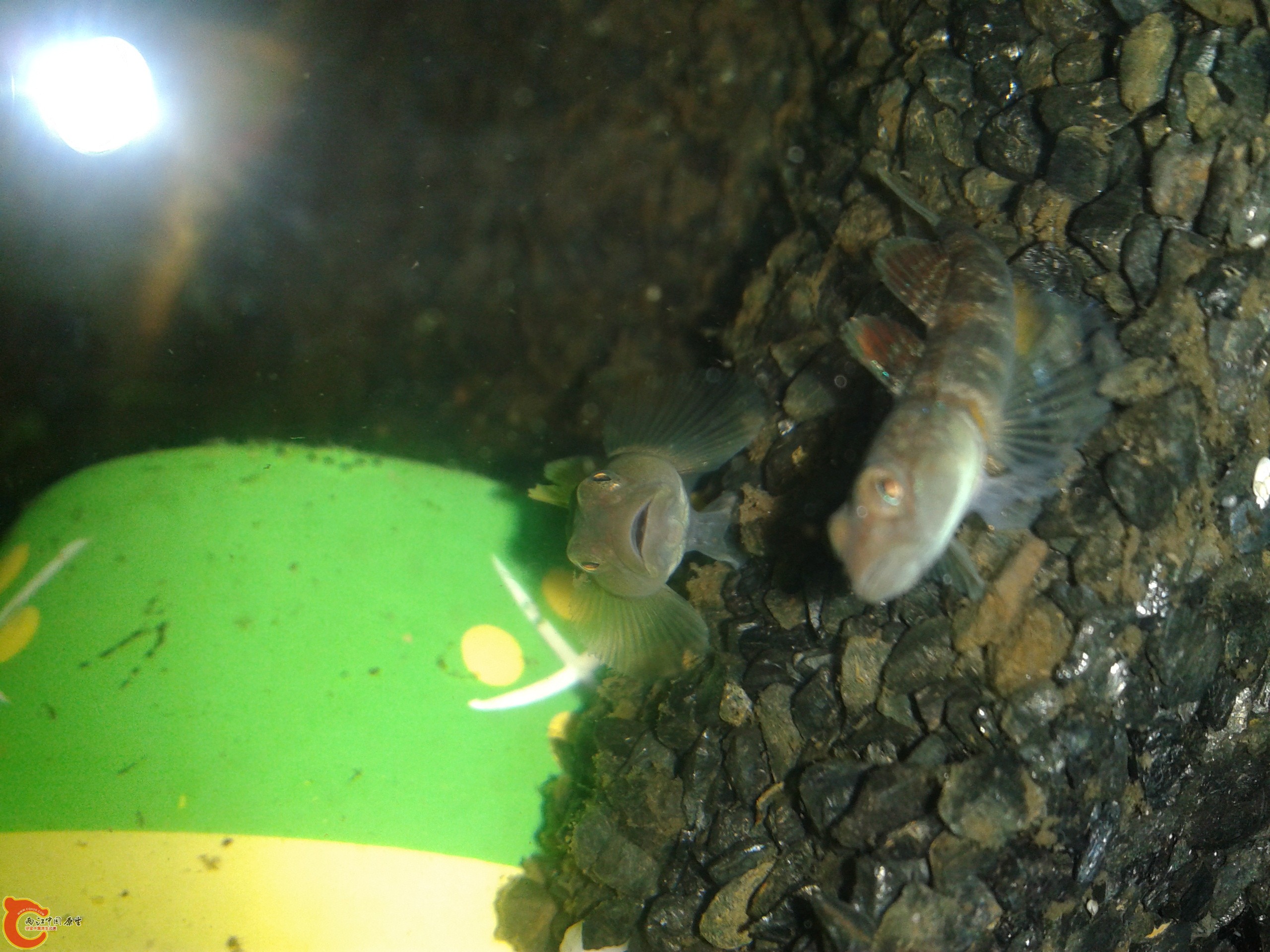 2011-12-22 23.19.50.jpg