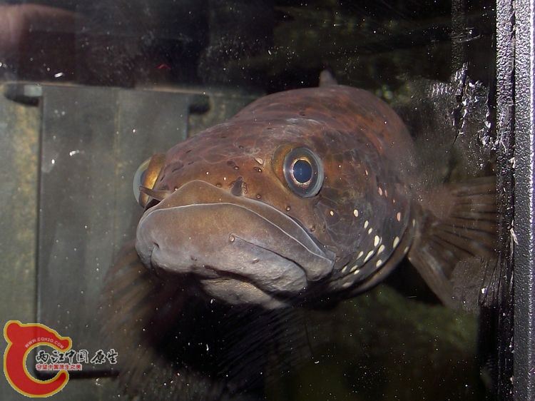 DSCF8616.JPG