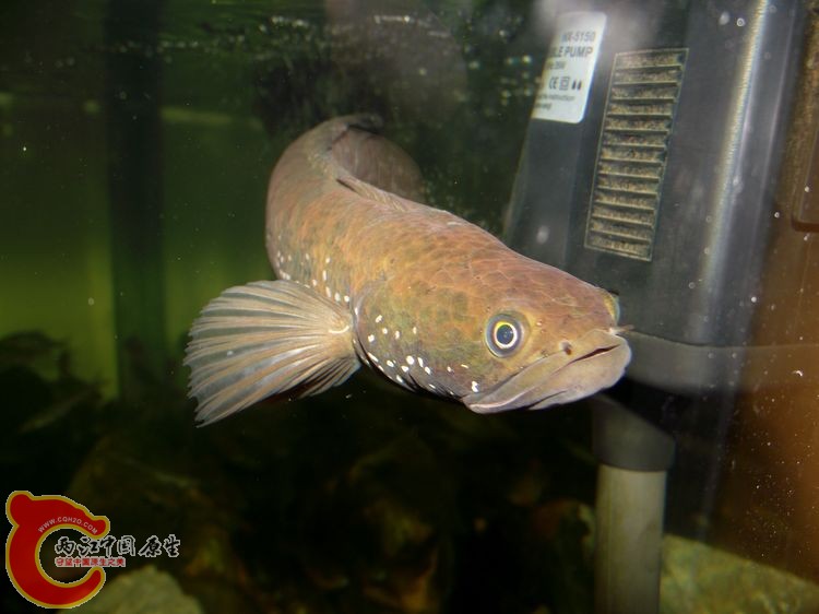 DSCF8612.JPG