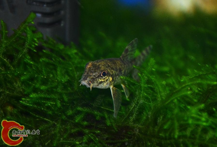 DSC_5495.JPG