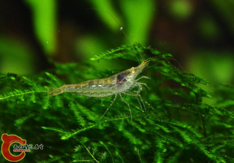 DSC_5538.JPG