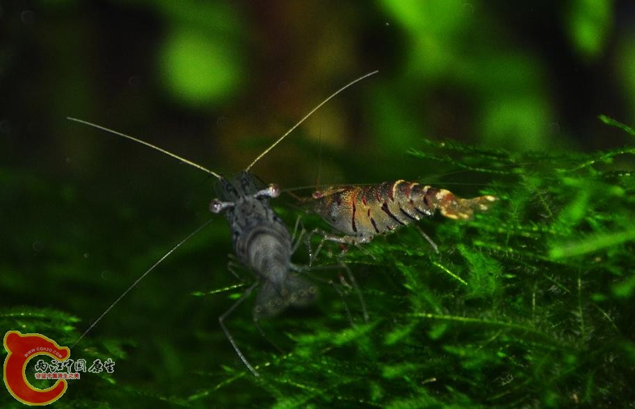 DSC_5547.JPG