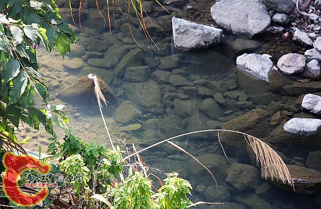 野采3.jpg